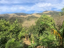 View from lodge