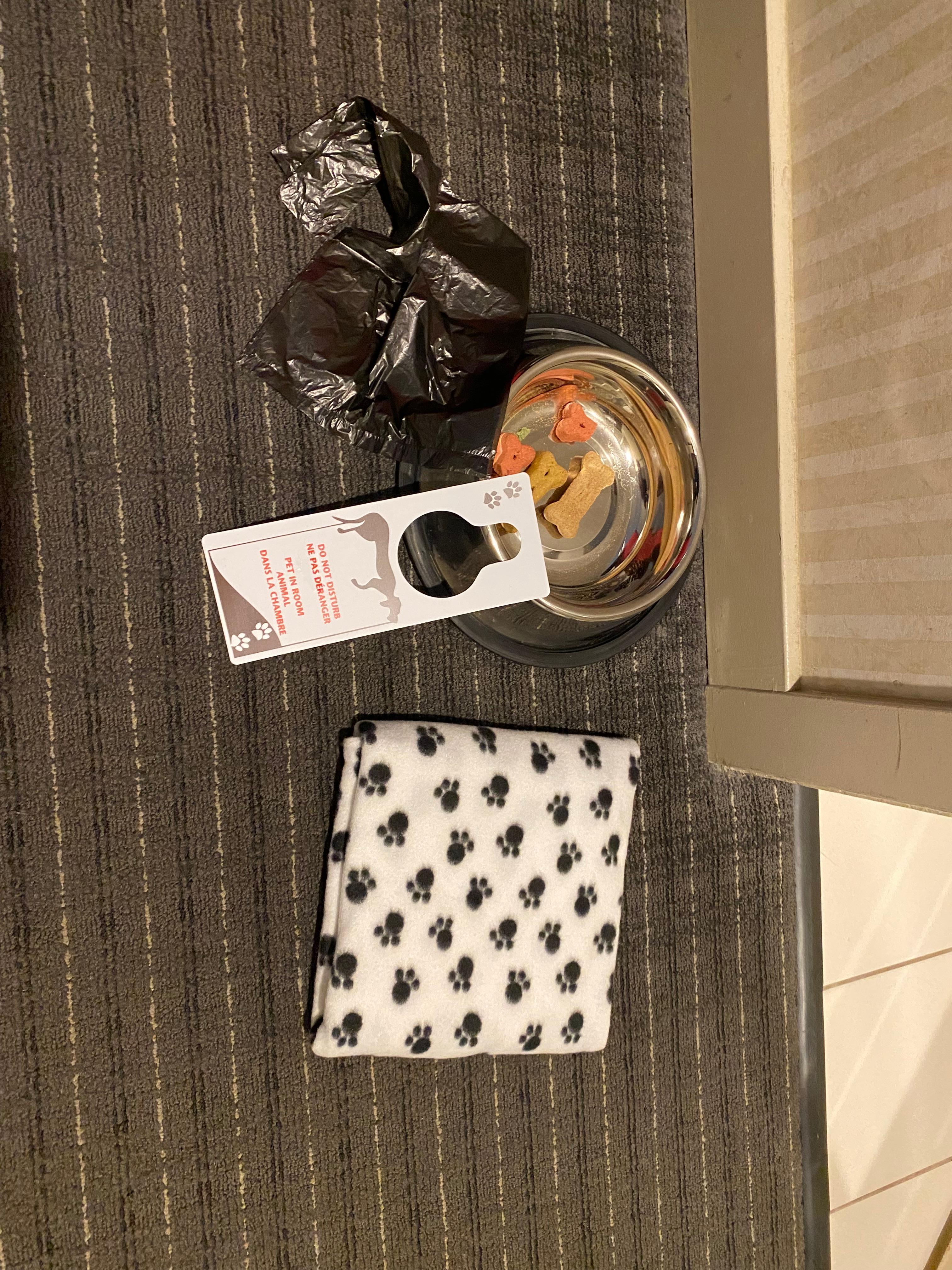 Welcome package for our dog. 