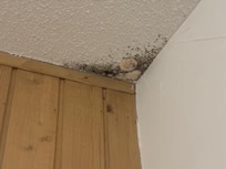 Child’s bedroom black mold