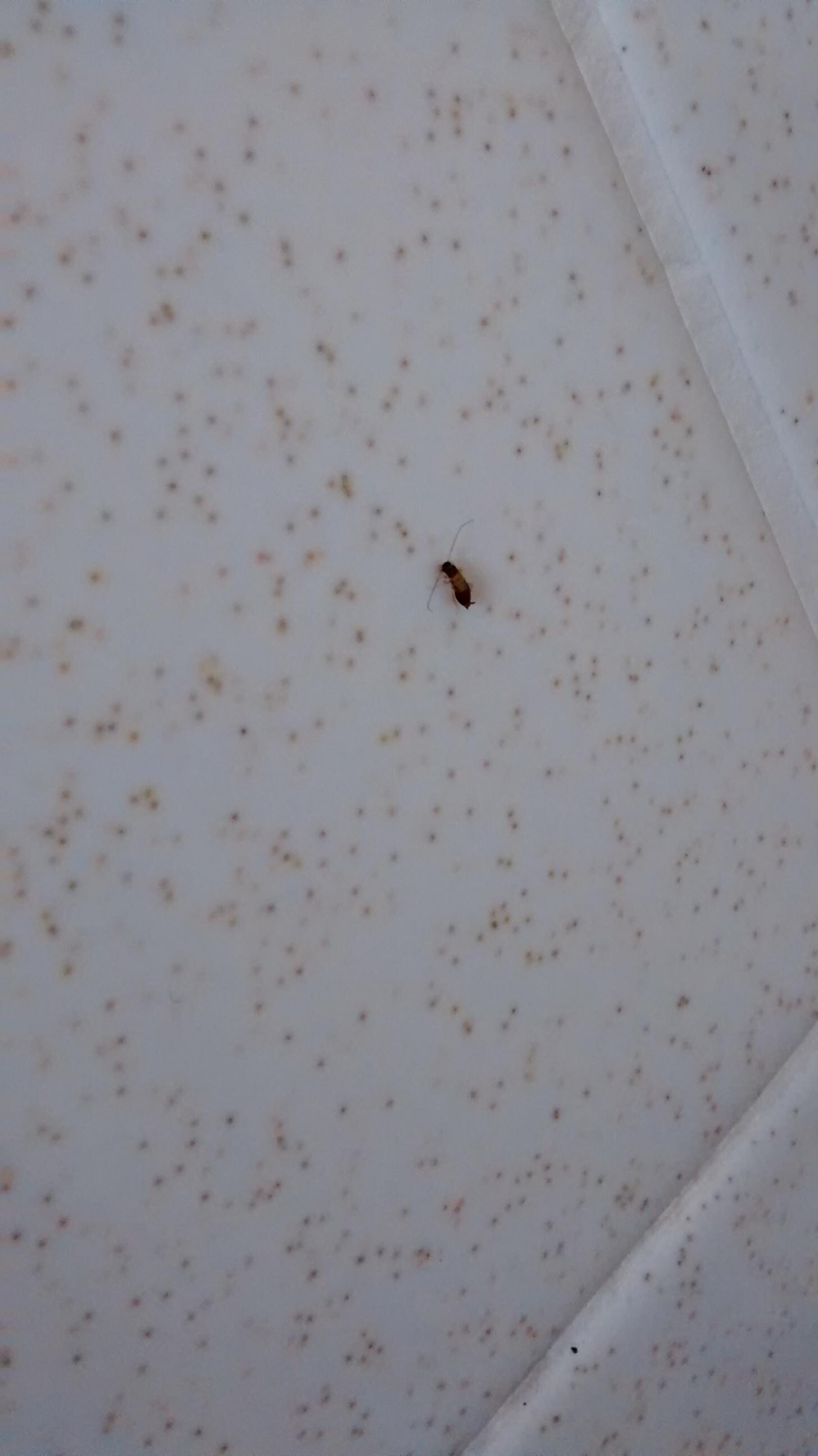 On wall next to bed