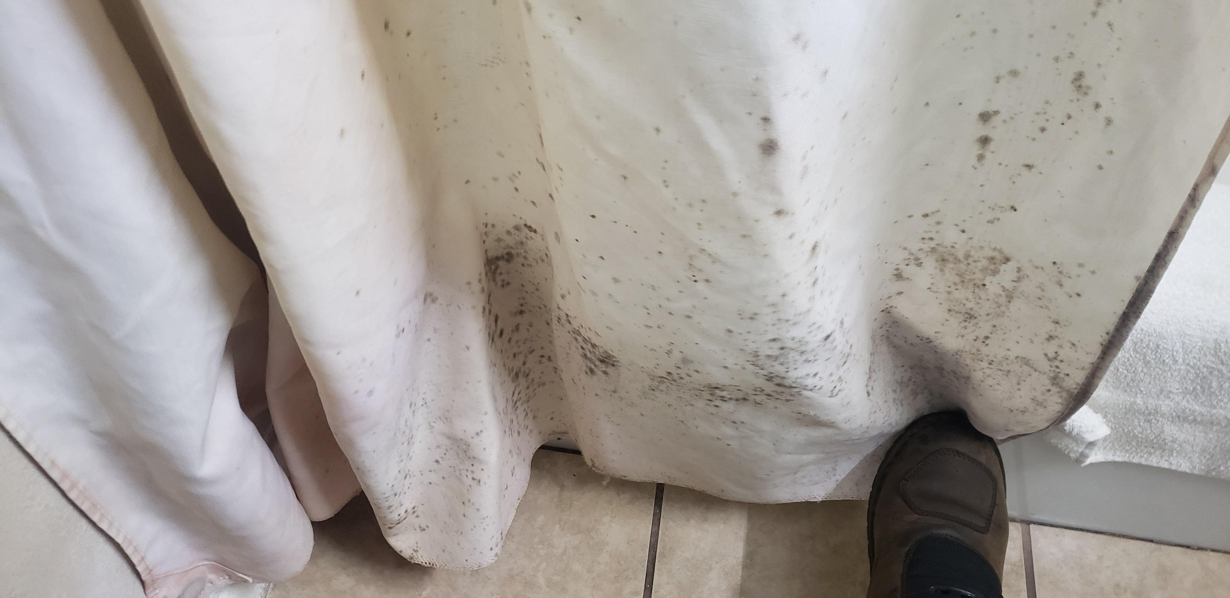 Mold on shower curtain.