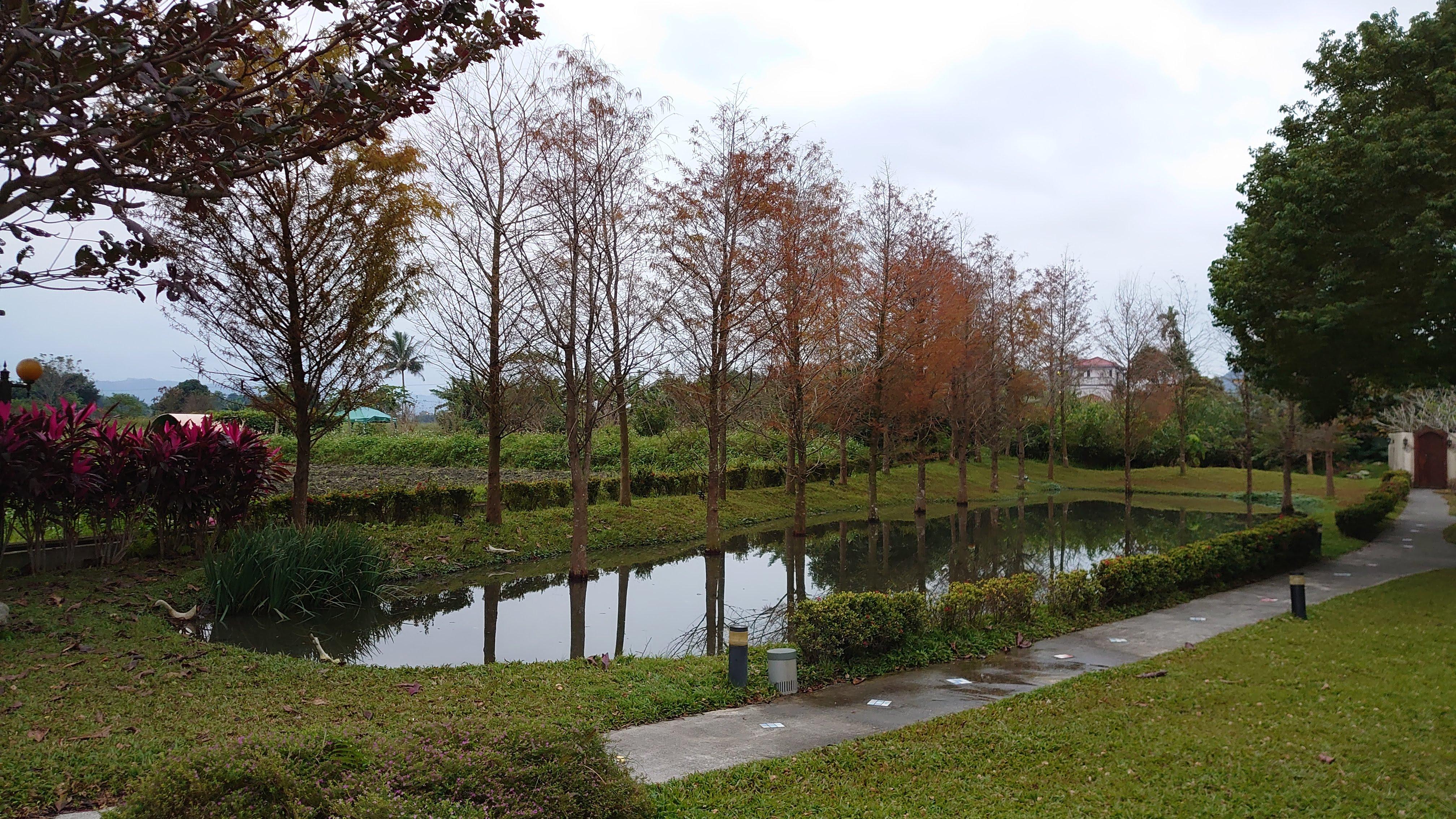 pond of the property