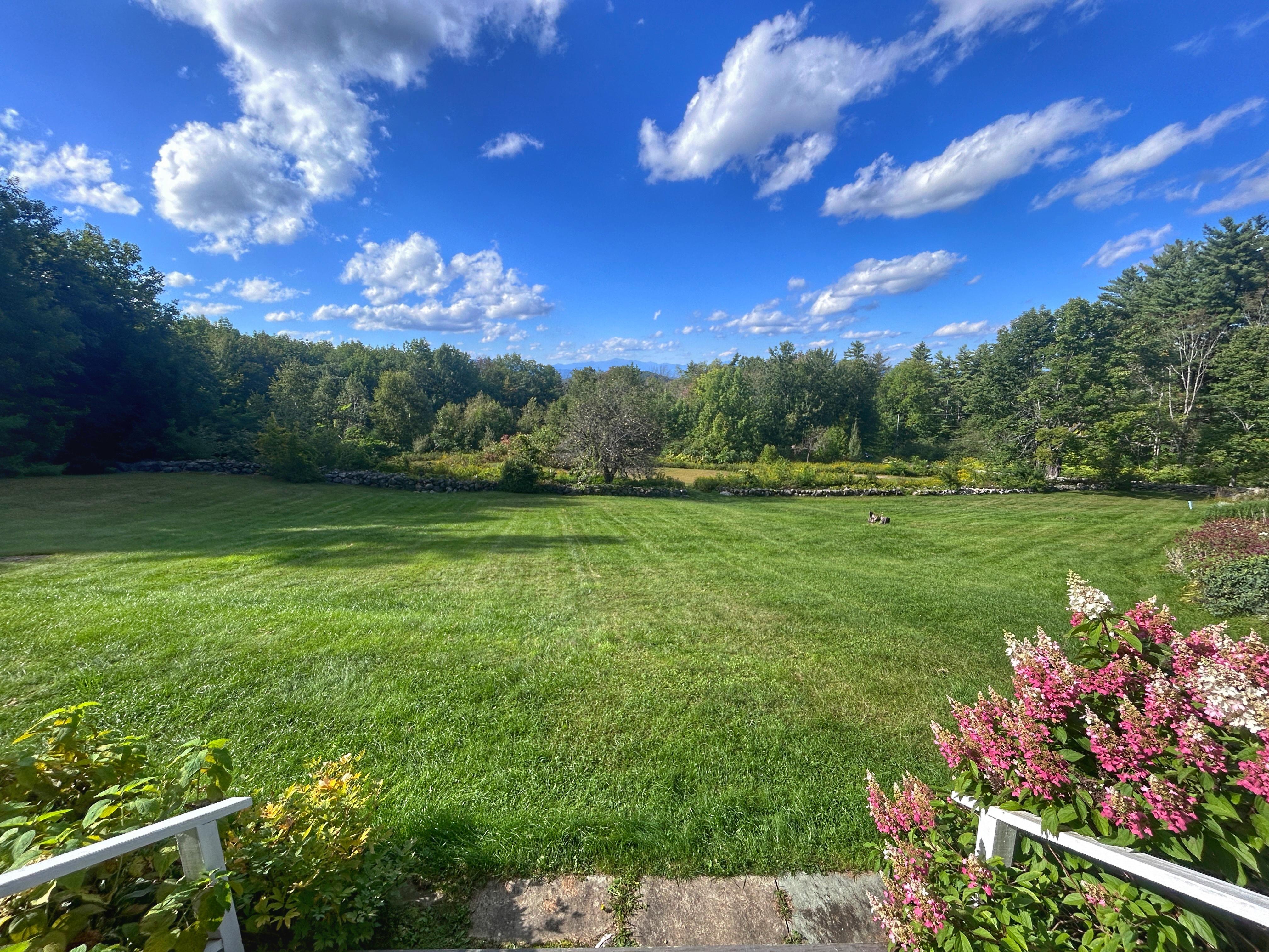 Front Lawn views