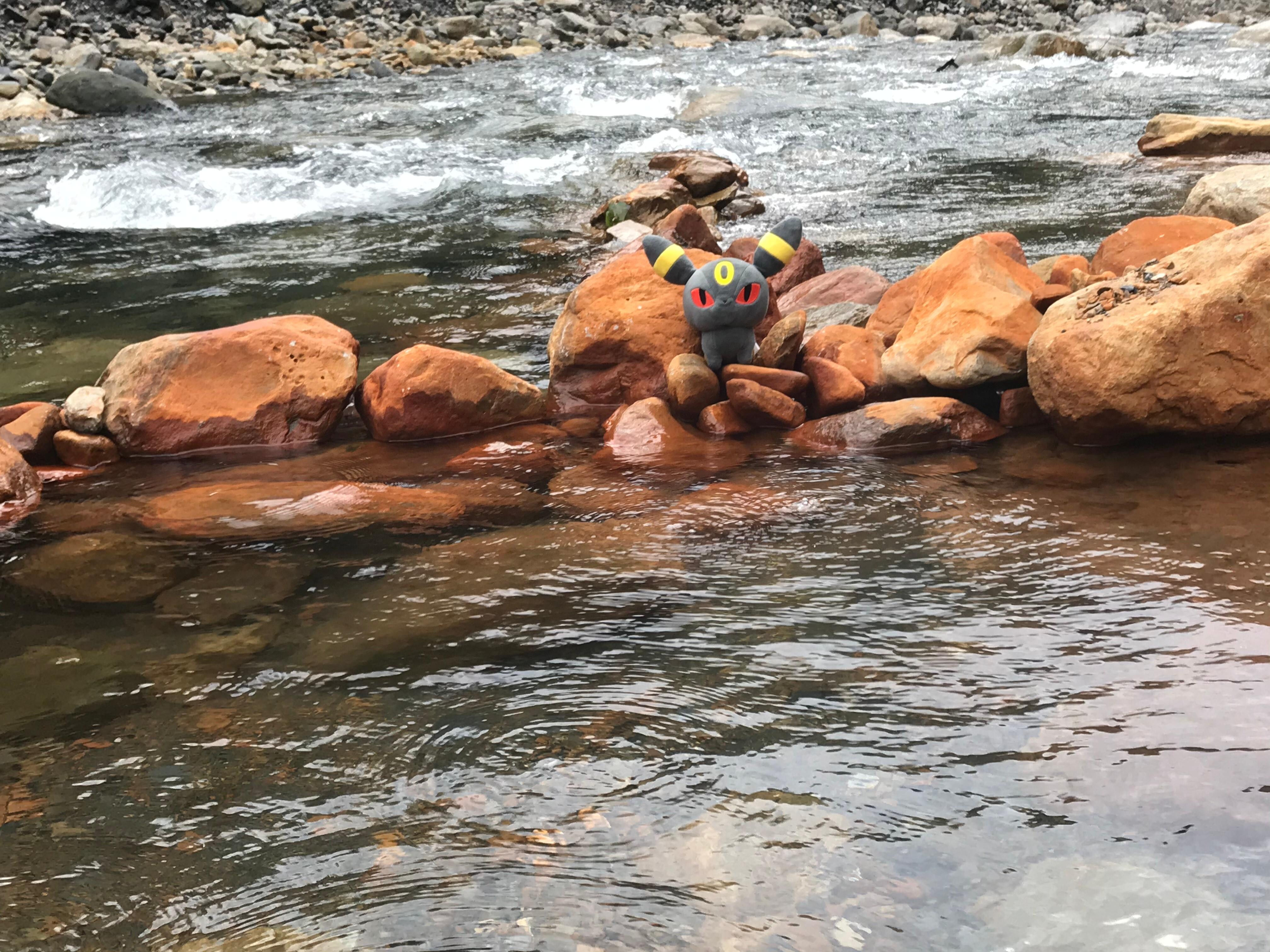 芃芃野溪溫泉B點