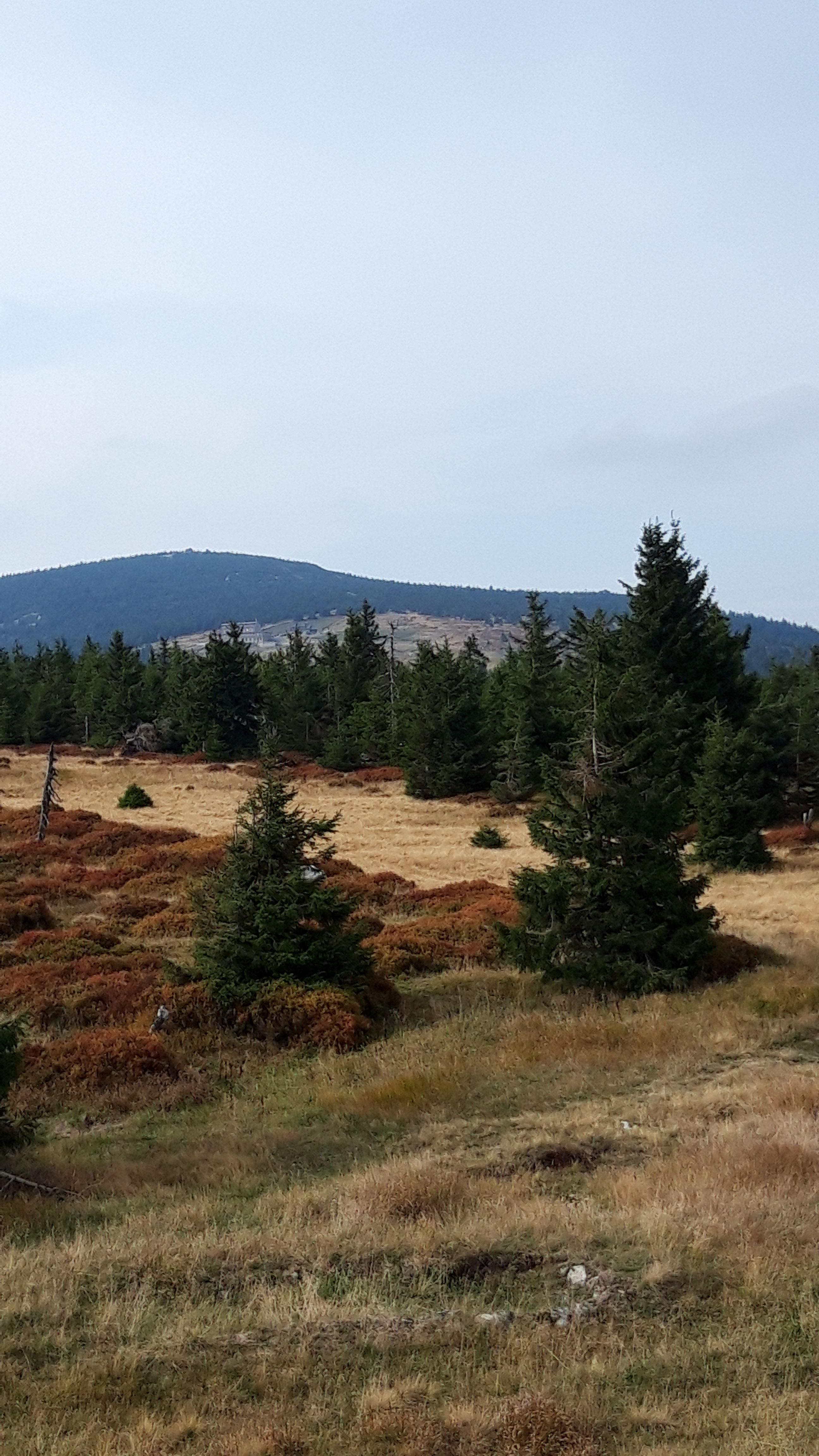 Blick vom Zimmer zur Peterbaude