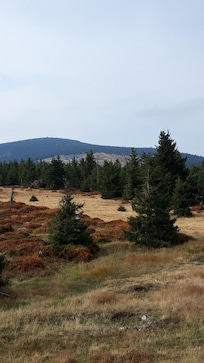 Blick vom Zimmer zur Peterbaude