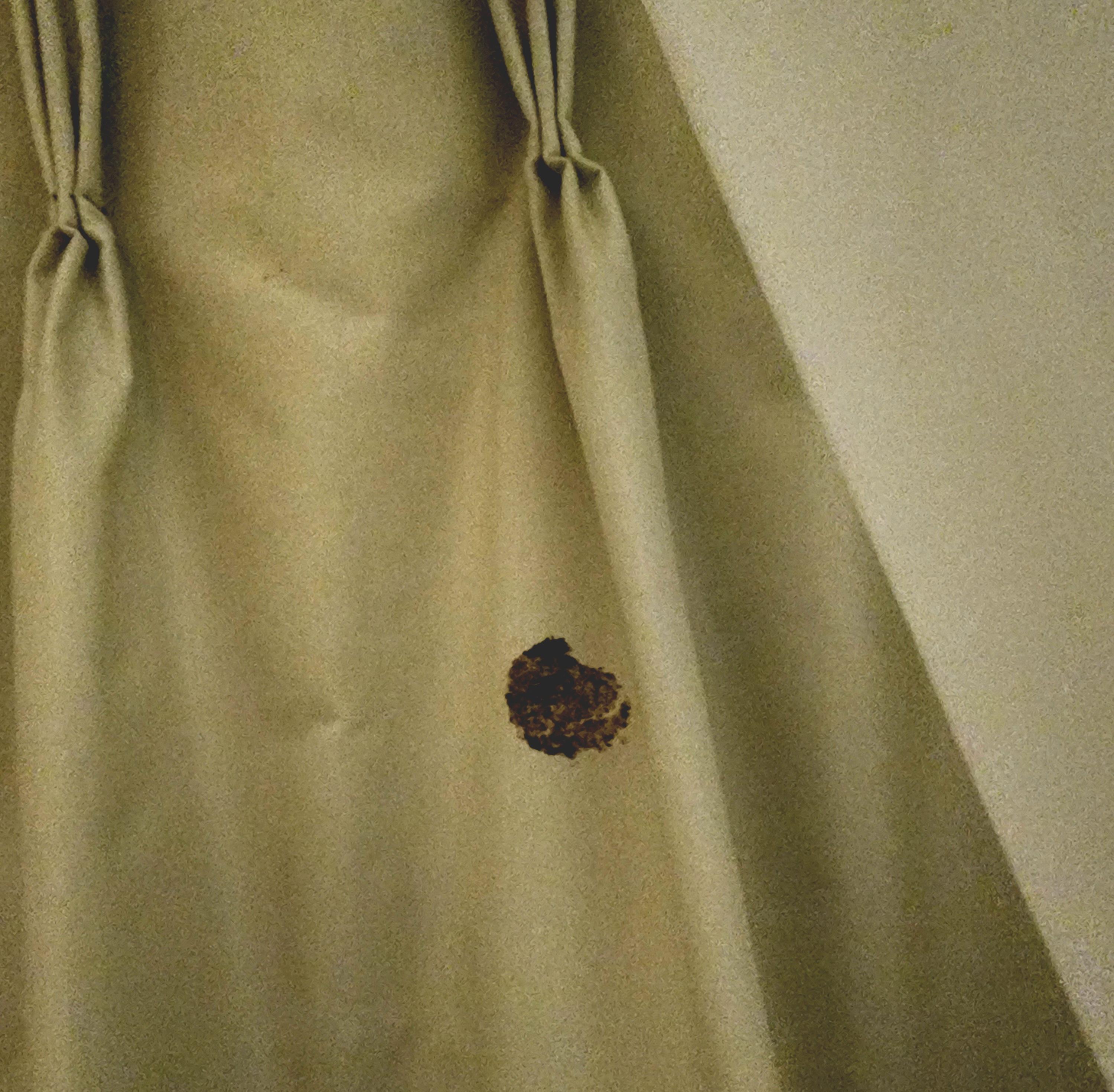 One of many visible stains, this one is on the curtain.