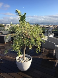 Bild från hotellets takterass