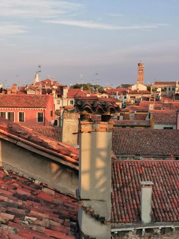 Rooftop view