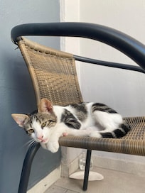 Kiki
