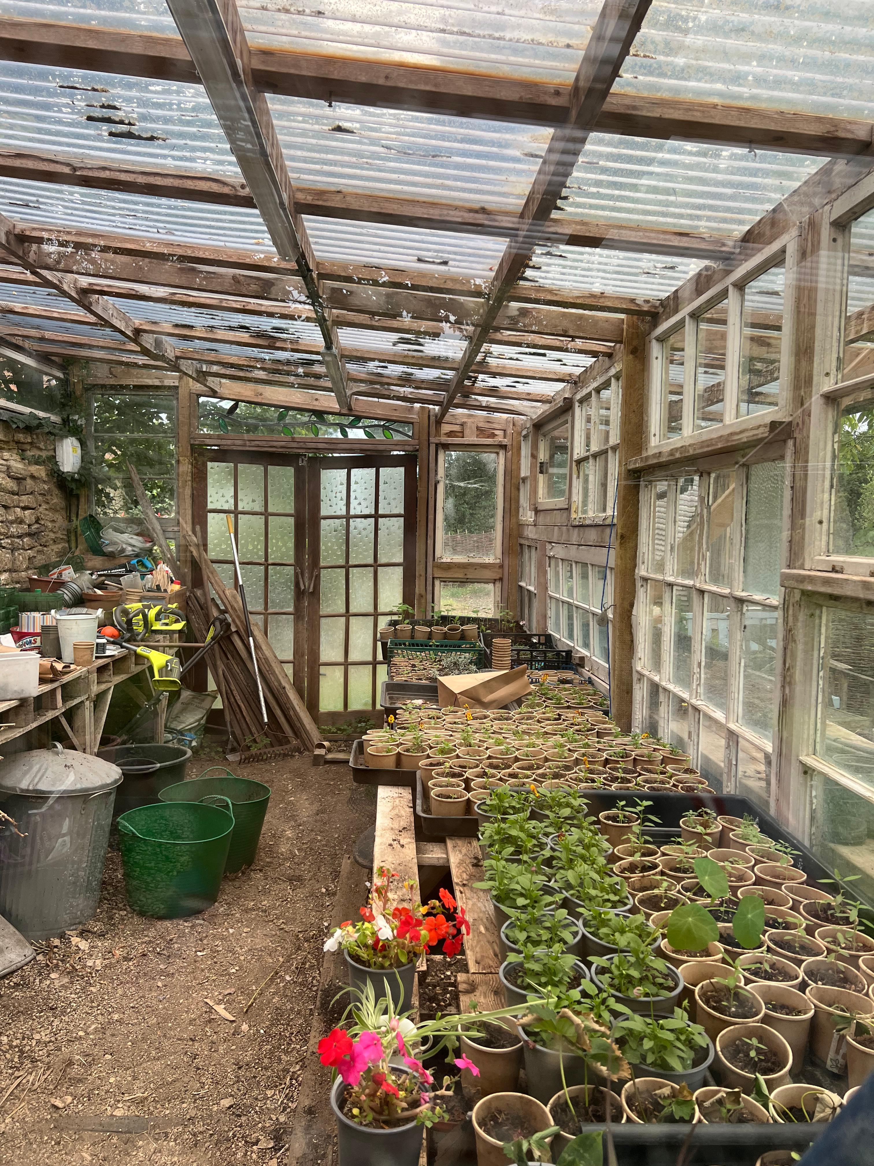 Greenhouse 