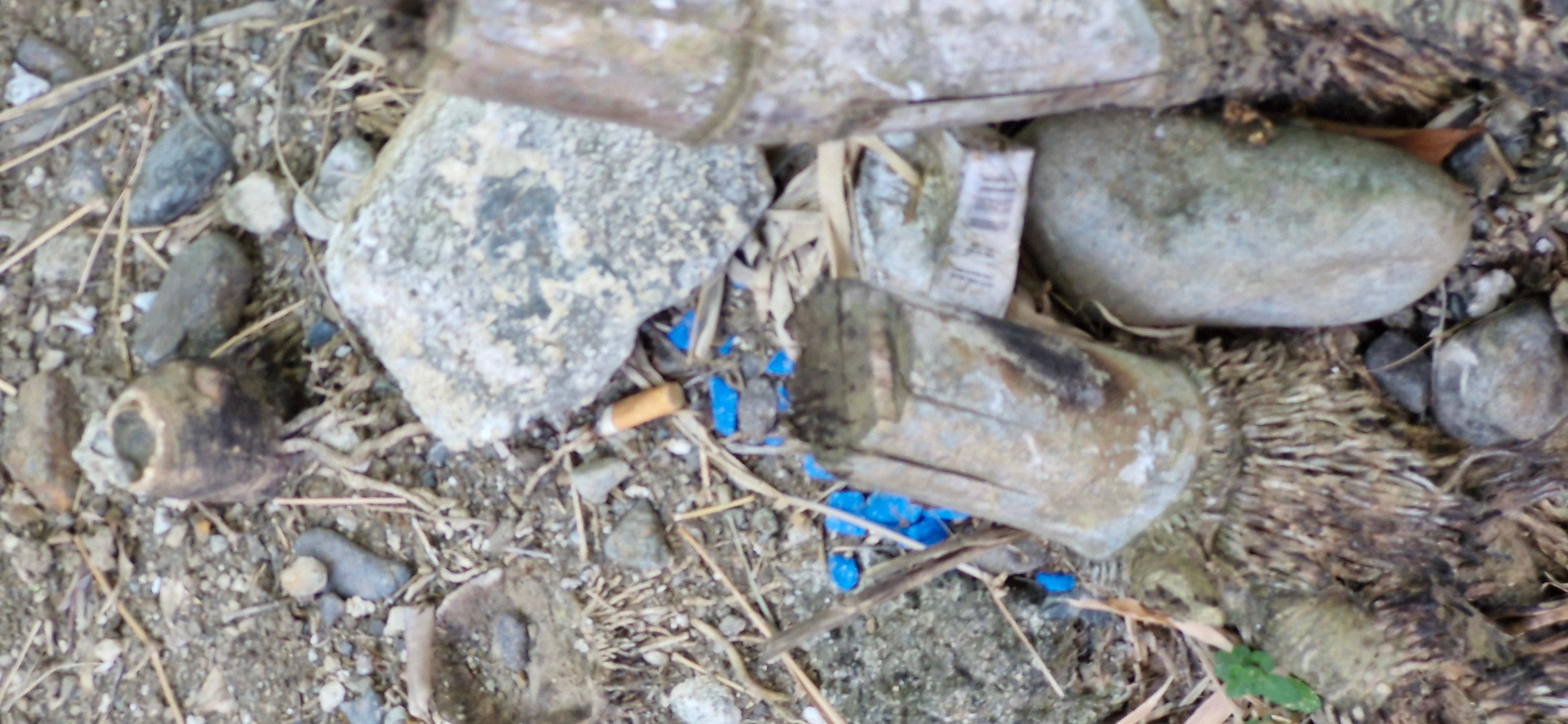 Trash in the garden around the pool, no one cleans the small  beach infront of hotel either.