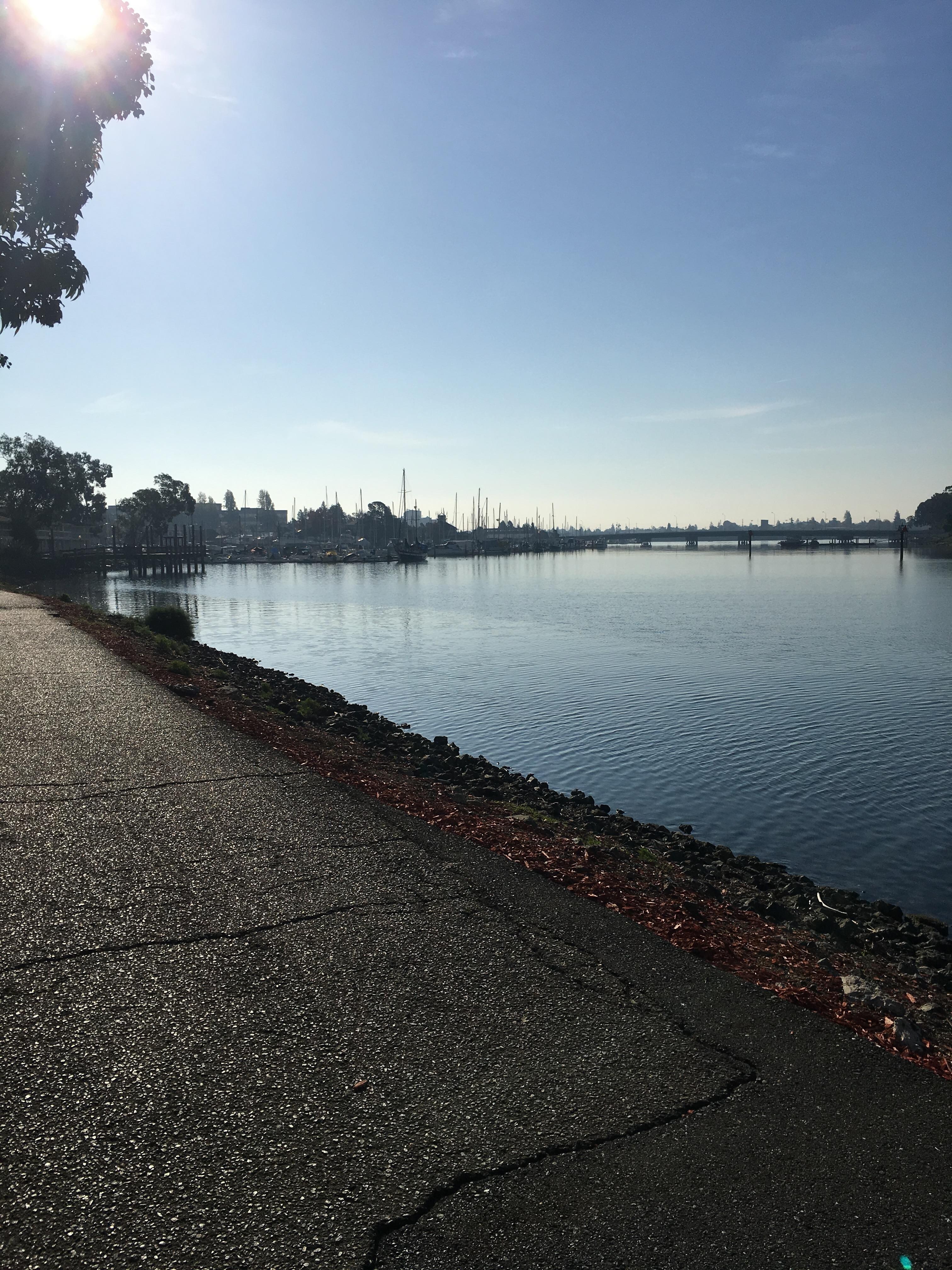 Beautiful morning on the bay, our view outside the hotel.