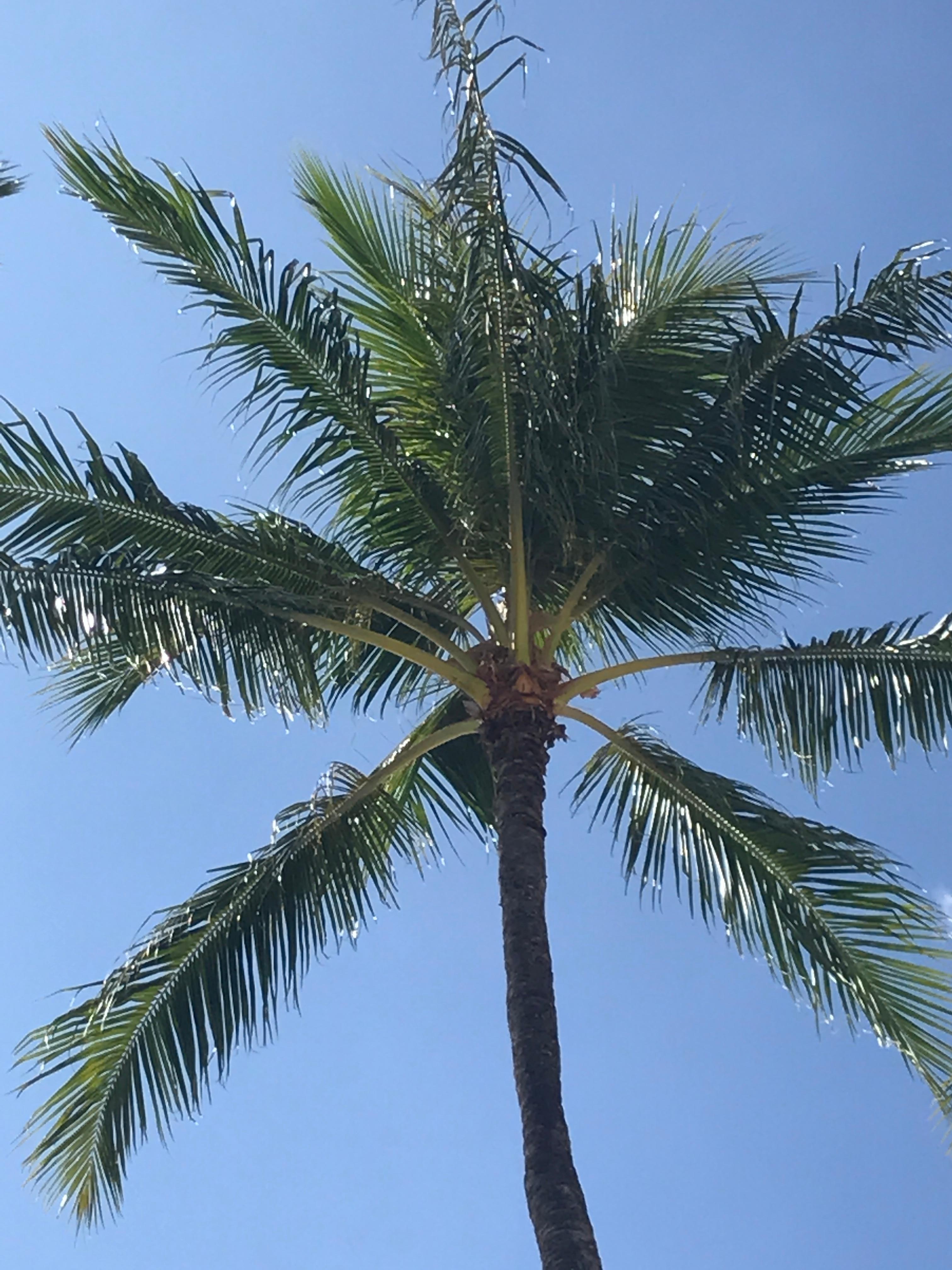 View from the beach
