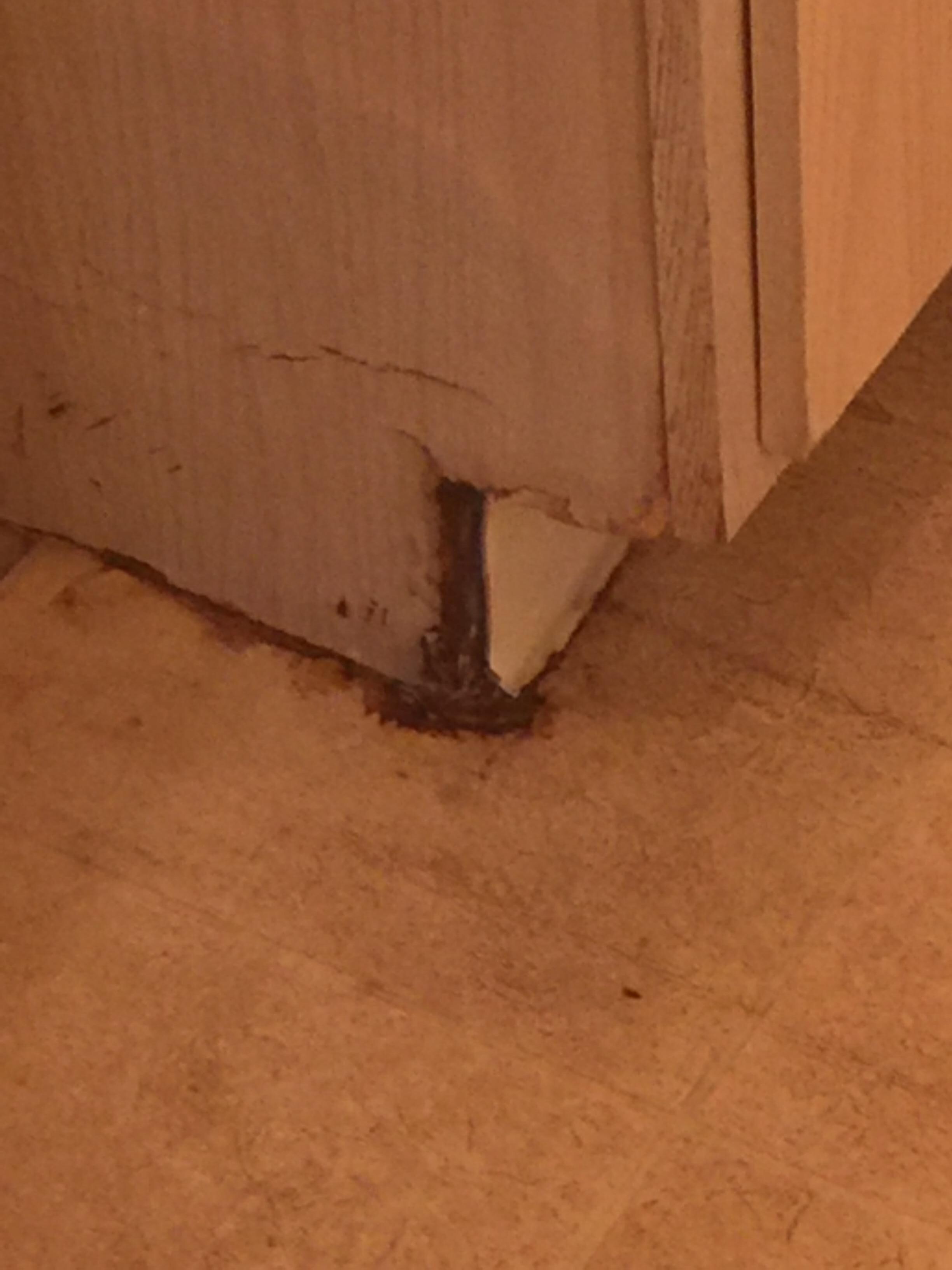 Mold