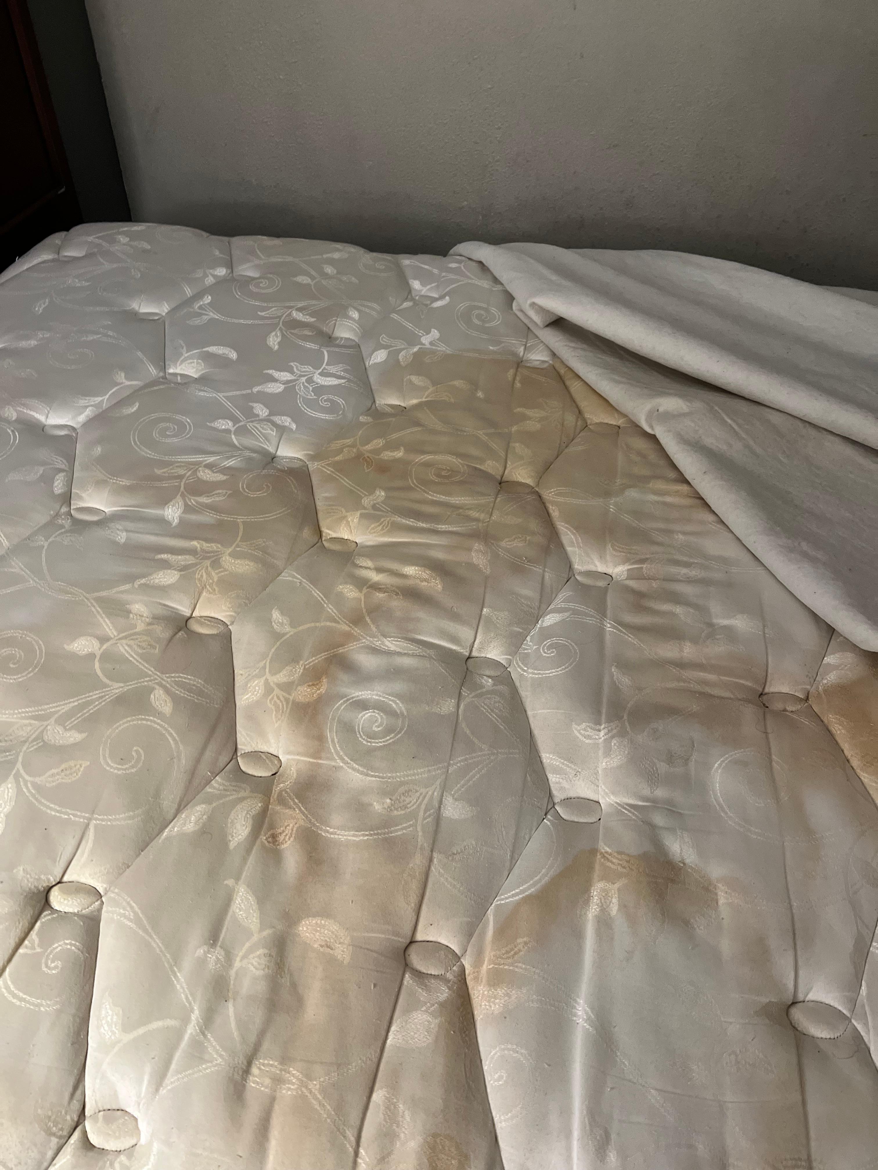 Urine on bed