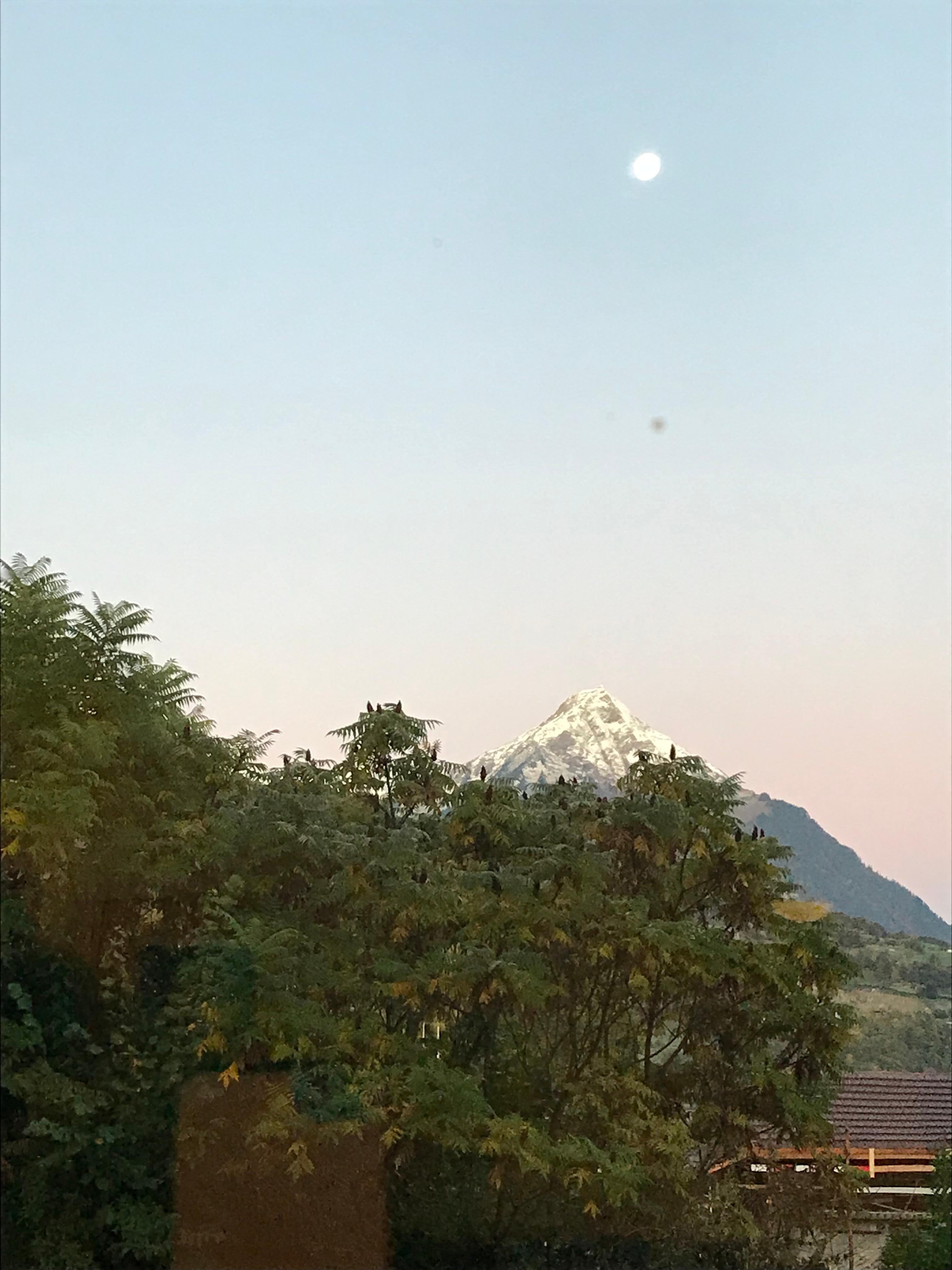 Autumn morning view from the dinning room window... 