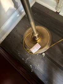 Dead bugs and old bottle cap.