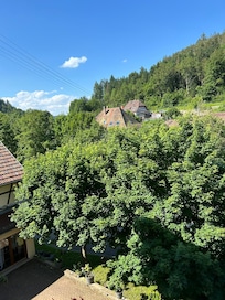 View room