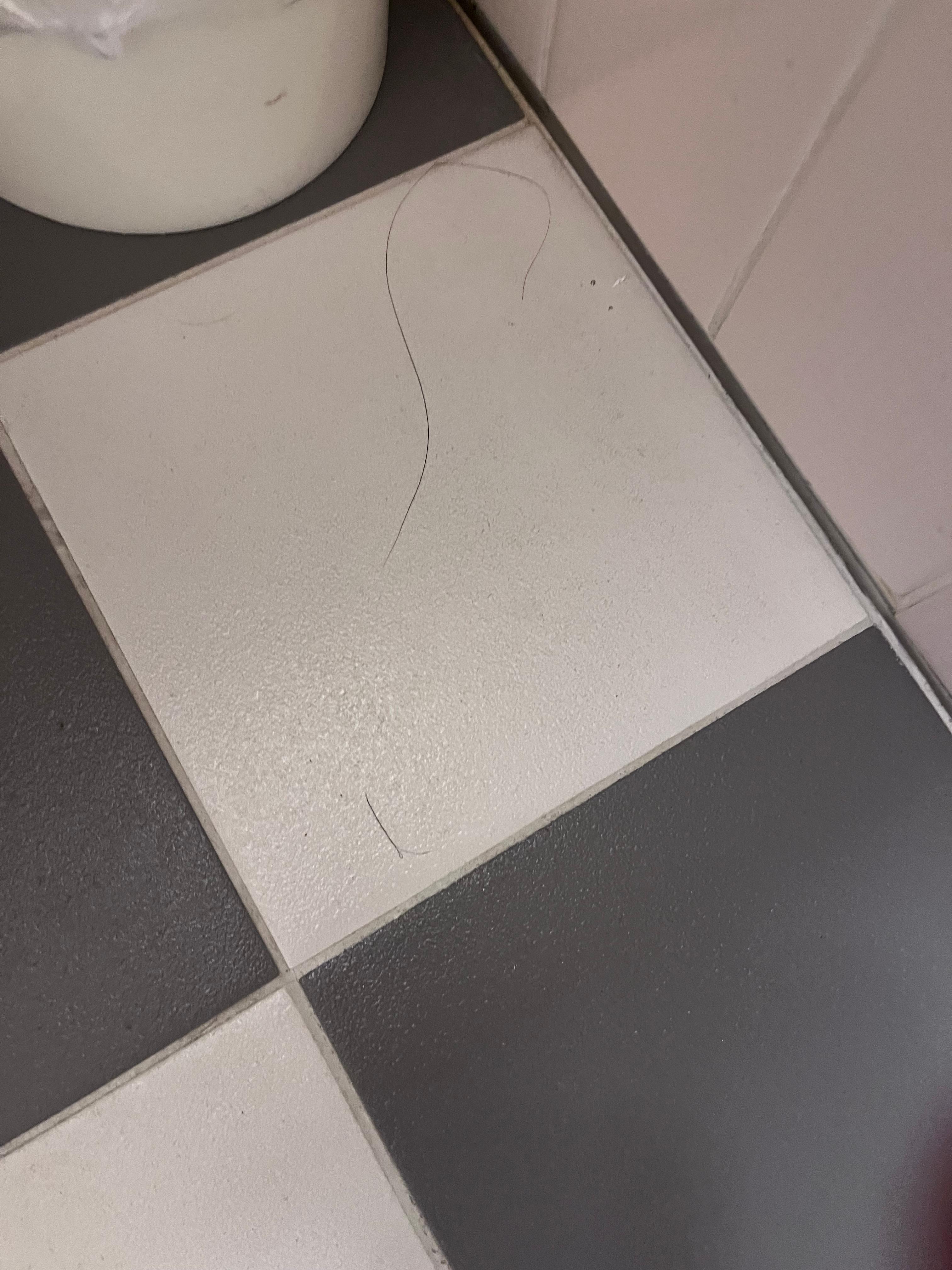 Hair in bathroom floor