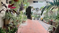 Me gustó mucho la pequeña terraza.
