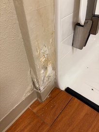 Moisture rotted walls