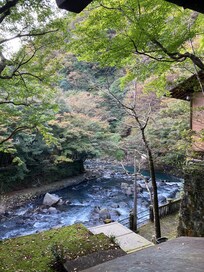 部屋からの眺め
