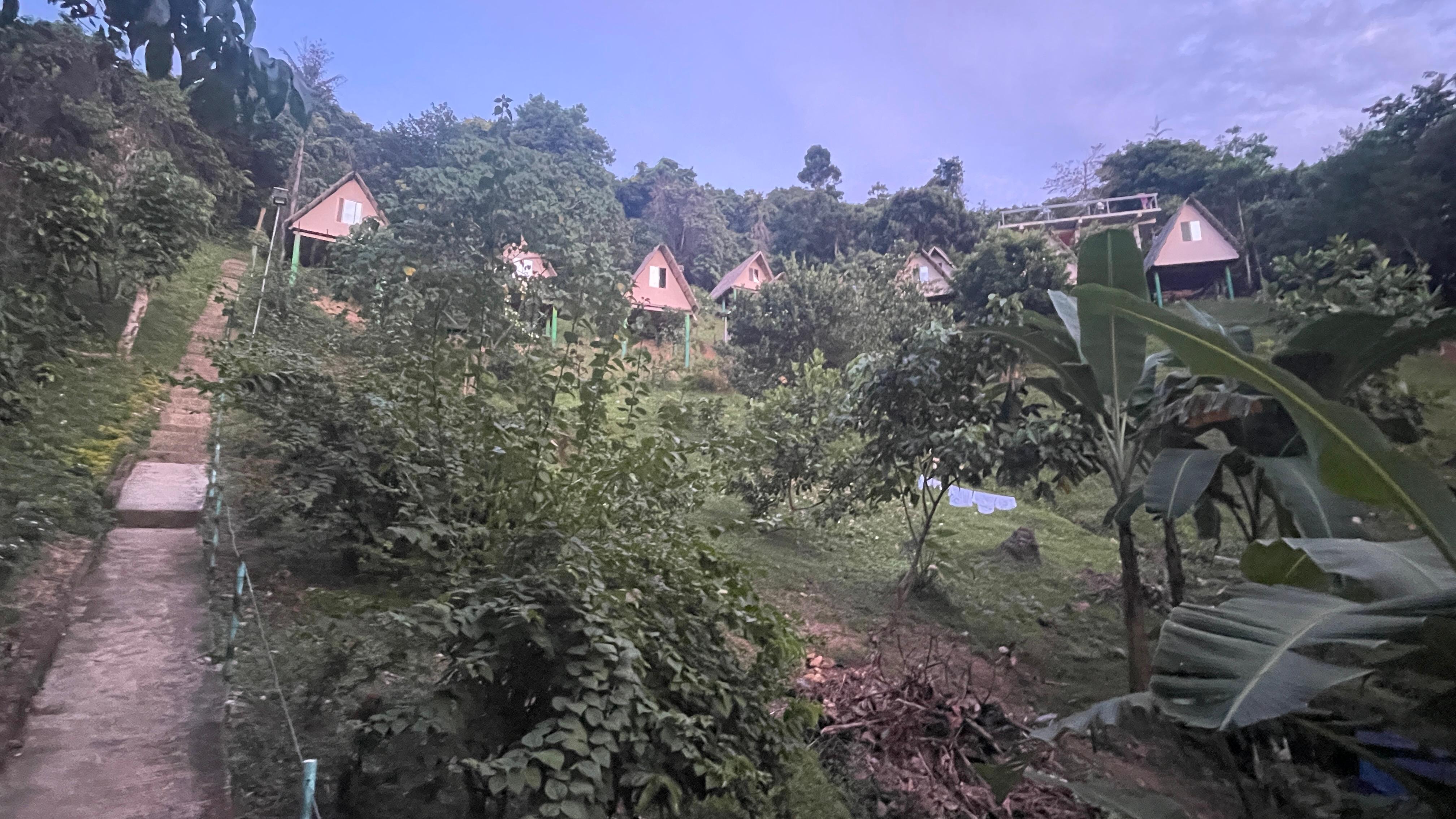 View from near bottom of hill looking up to cabins and washroom facilities  