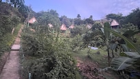 View from near bottom of hill looking up to cabins and washroom facilities