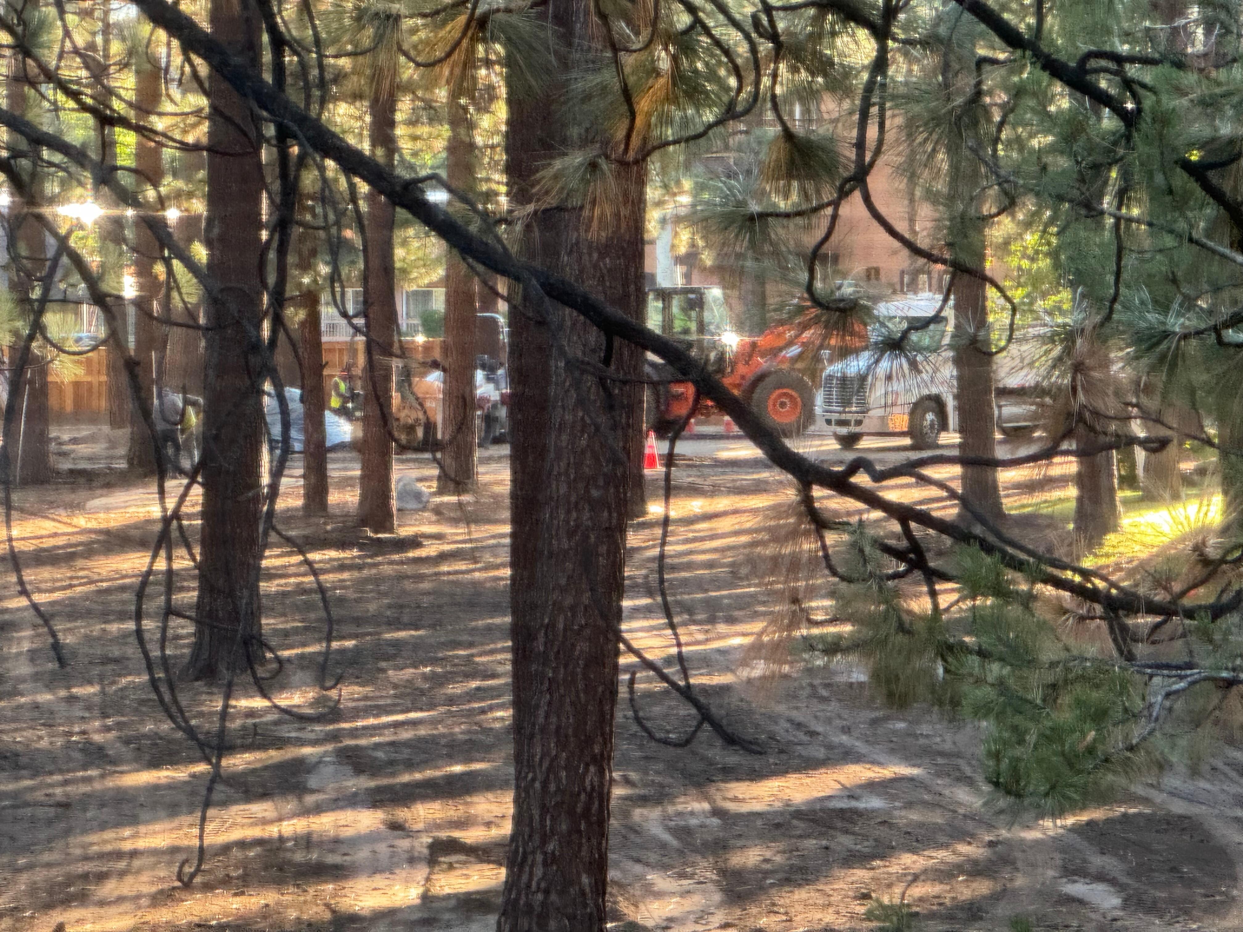 View from inside unit