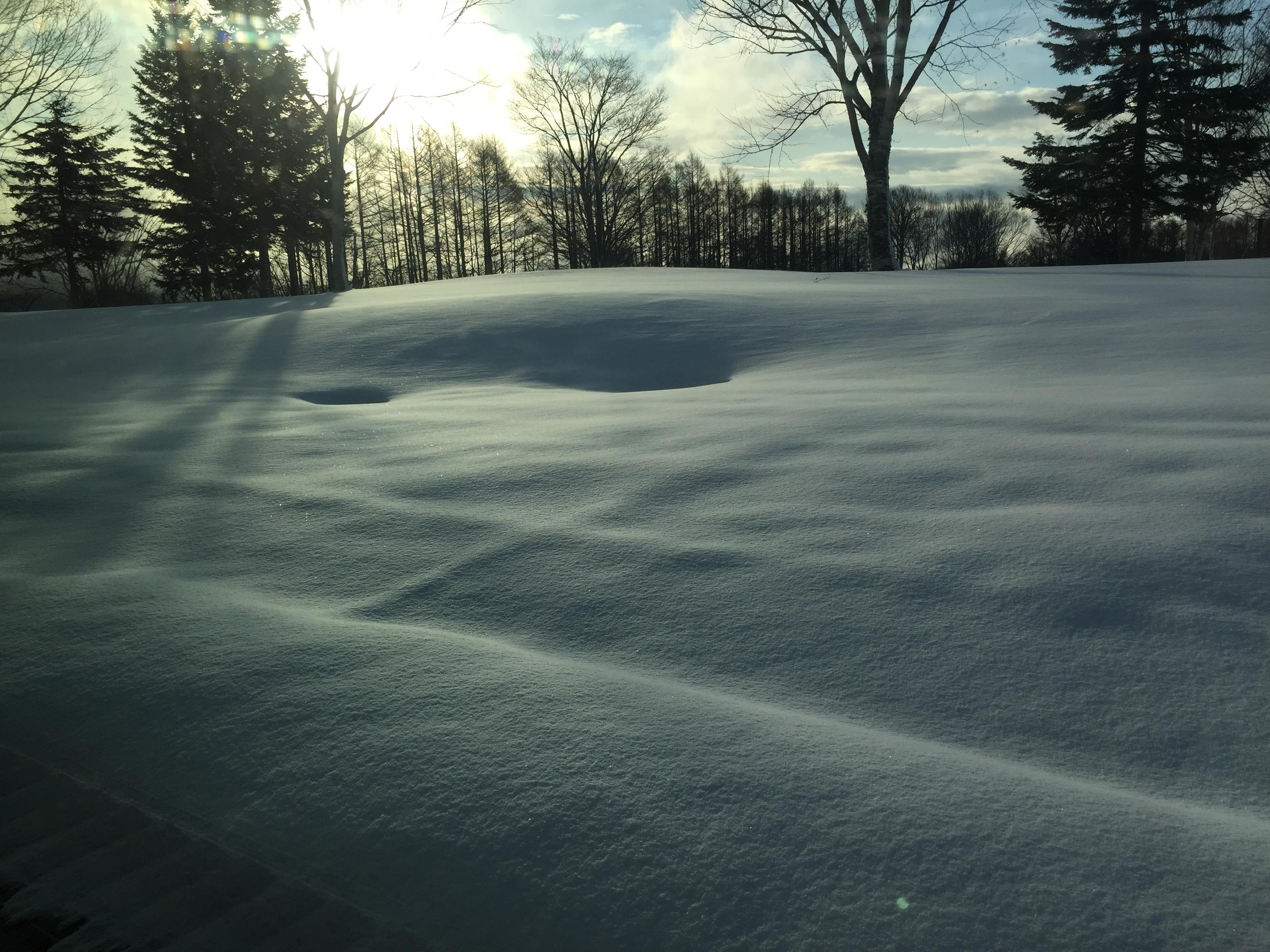 View from the breakfast room. 