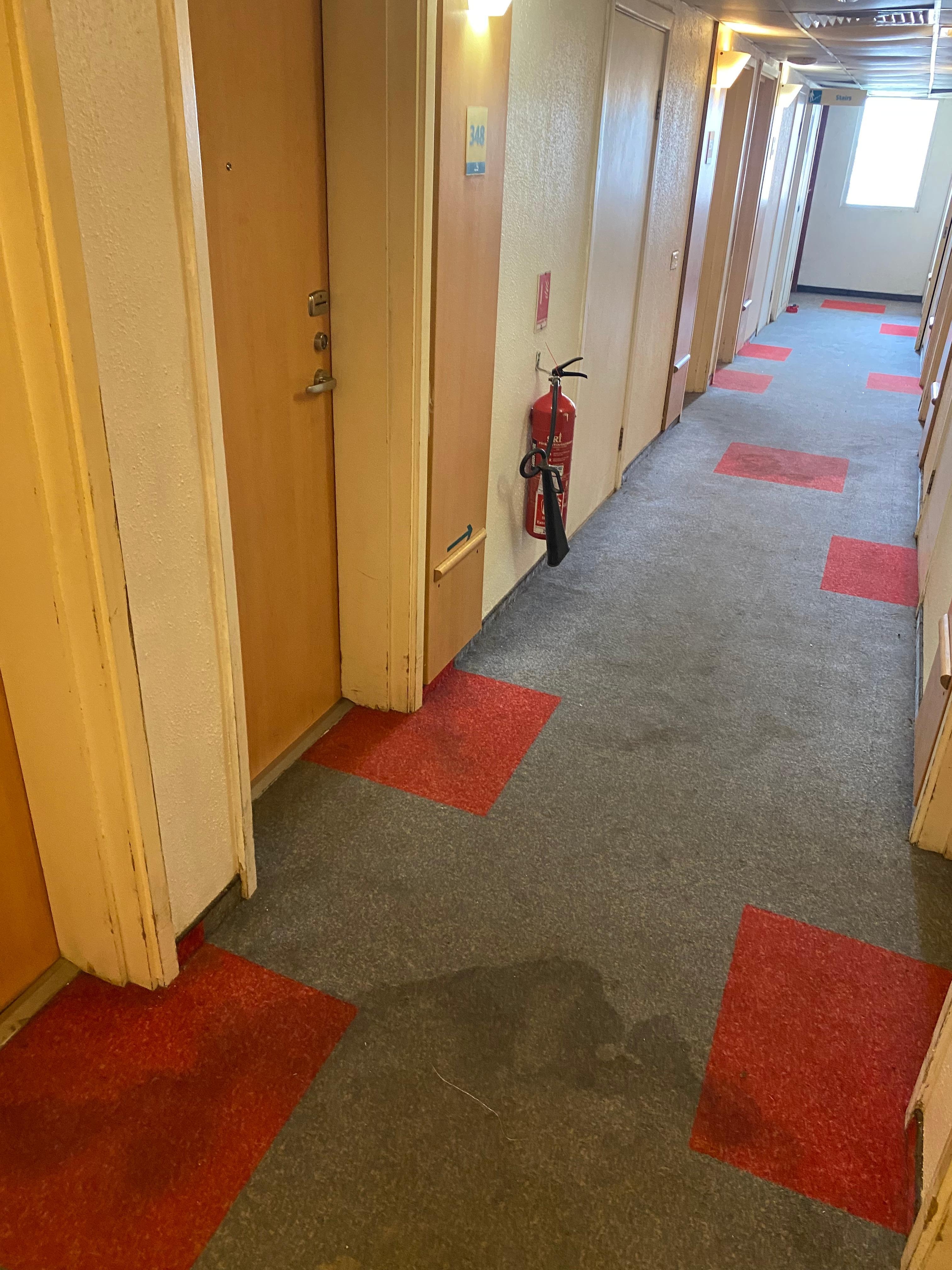 Lobby carpet with stain
