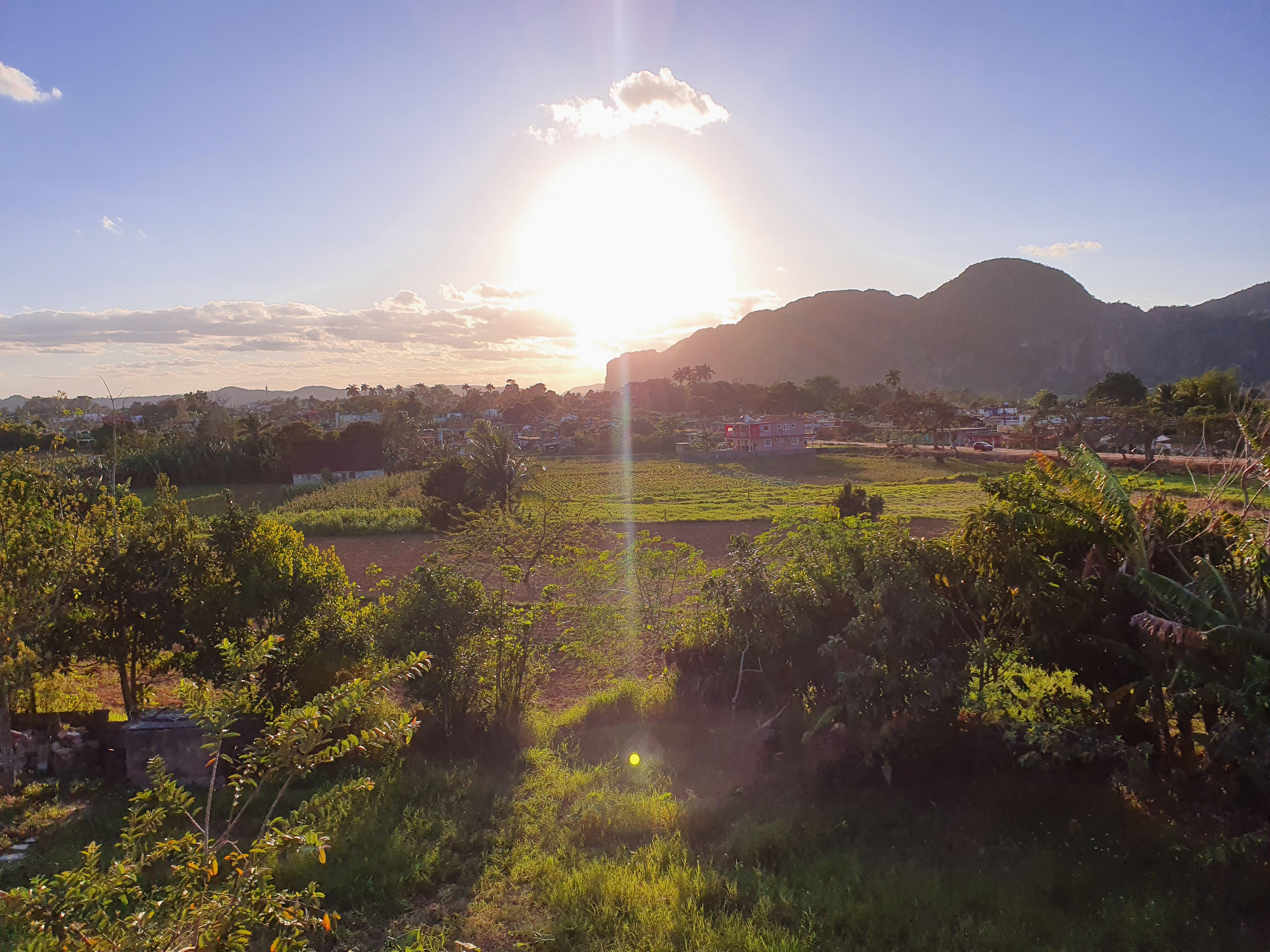 View from Gladys house 