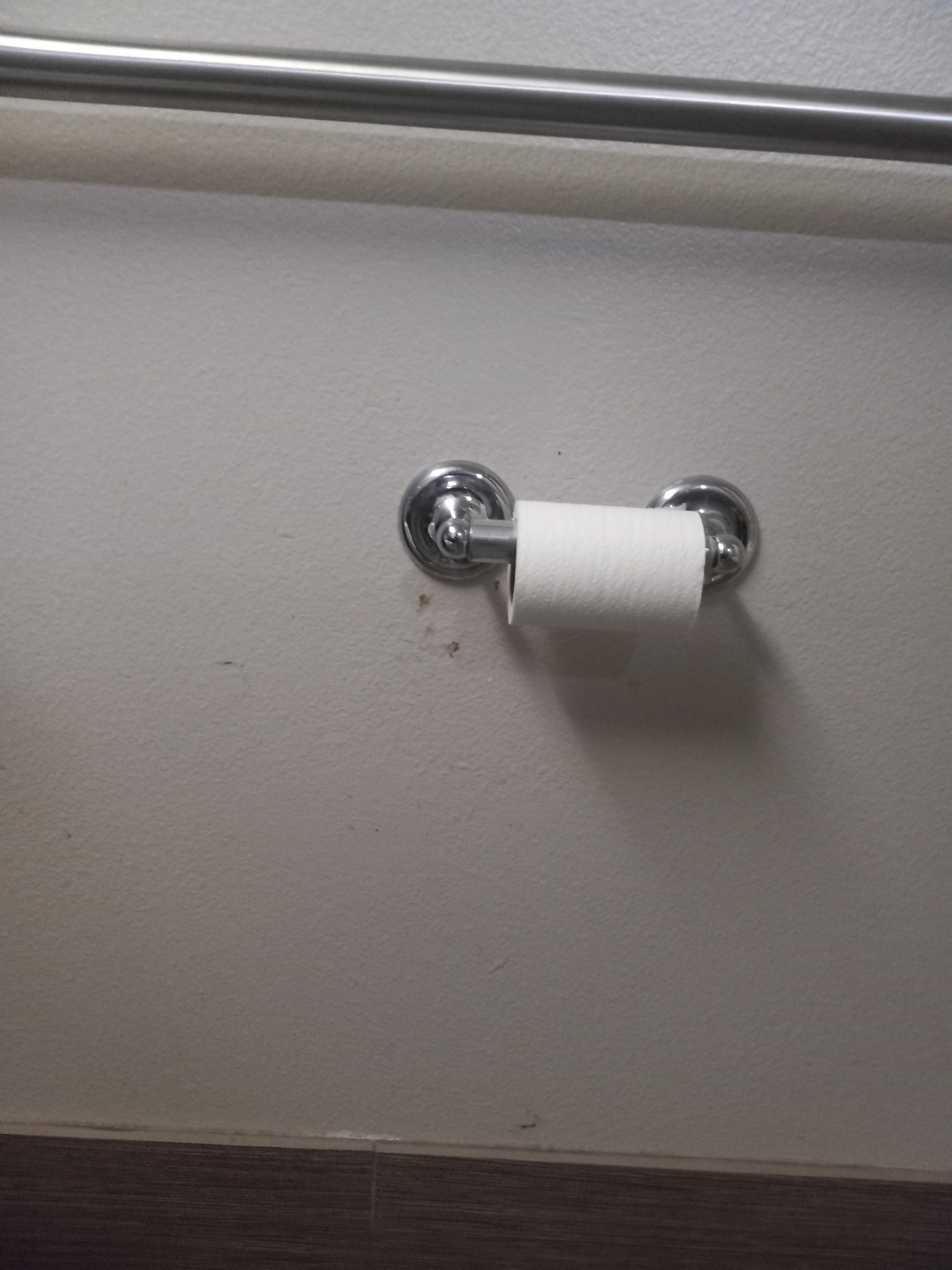 Poop on the bath wall by toilet paper holder.