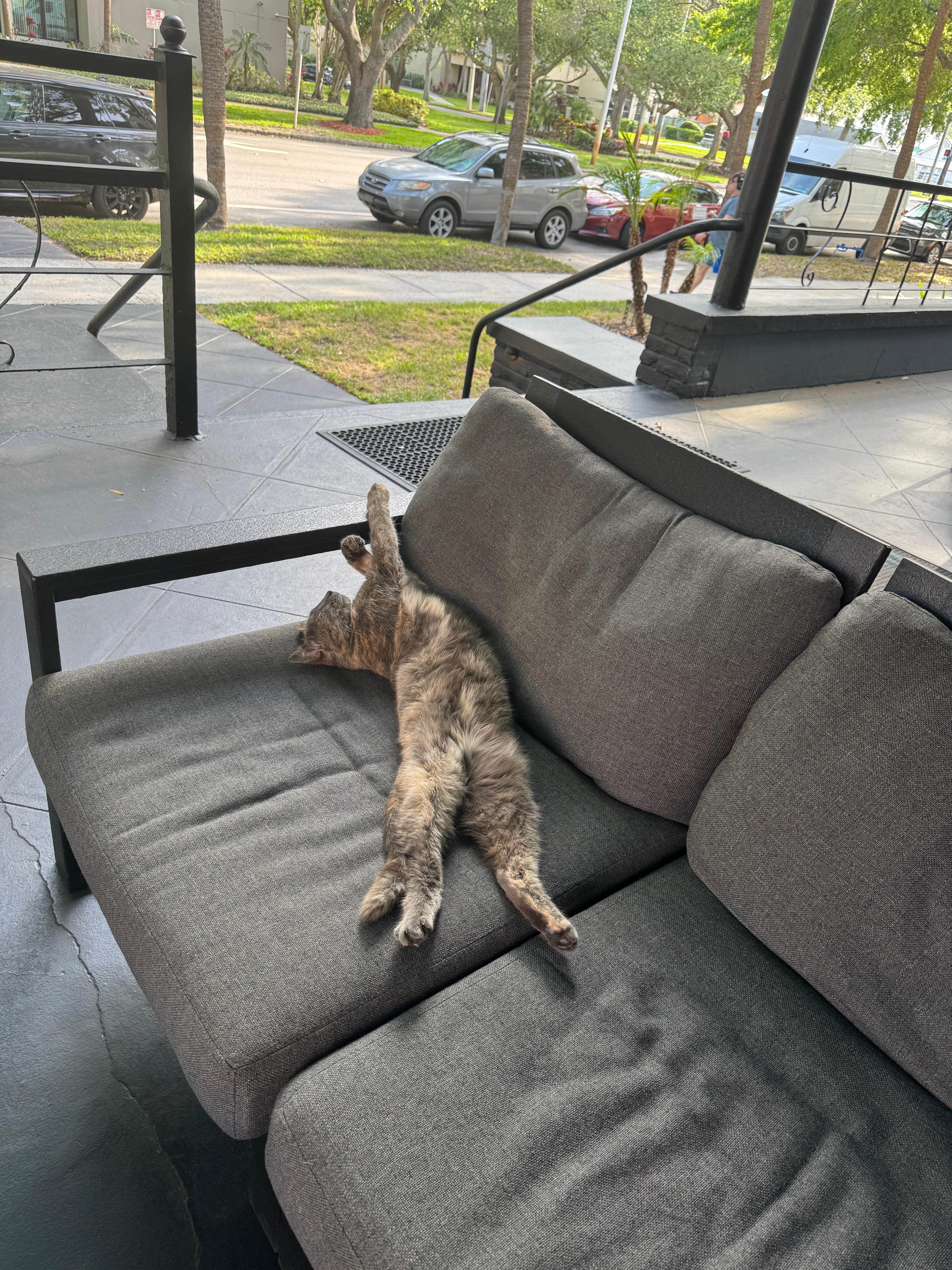 hotel pet- so cute!