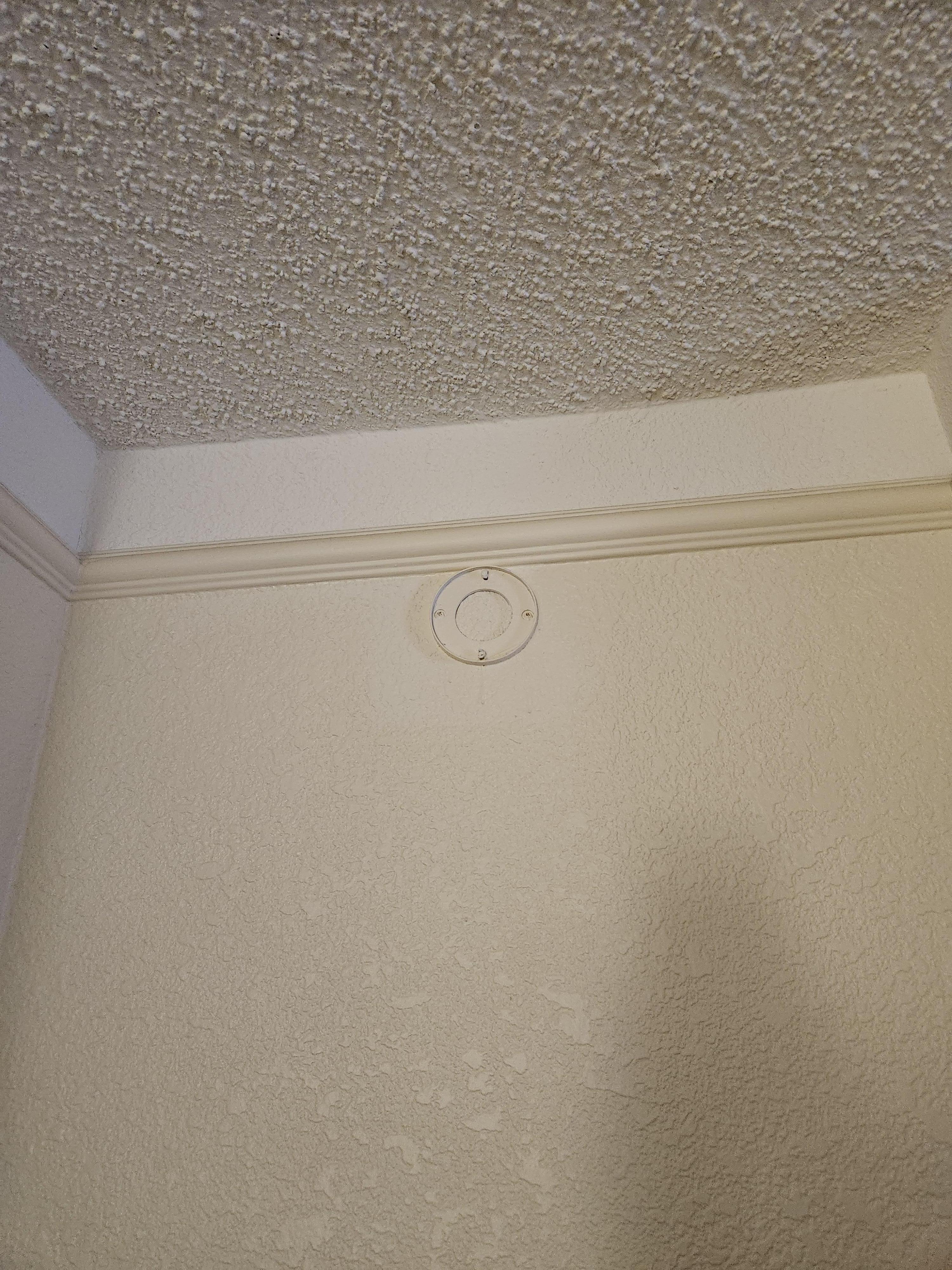 Maybe that was the smoke detector, once?