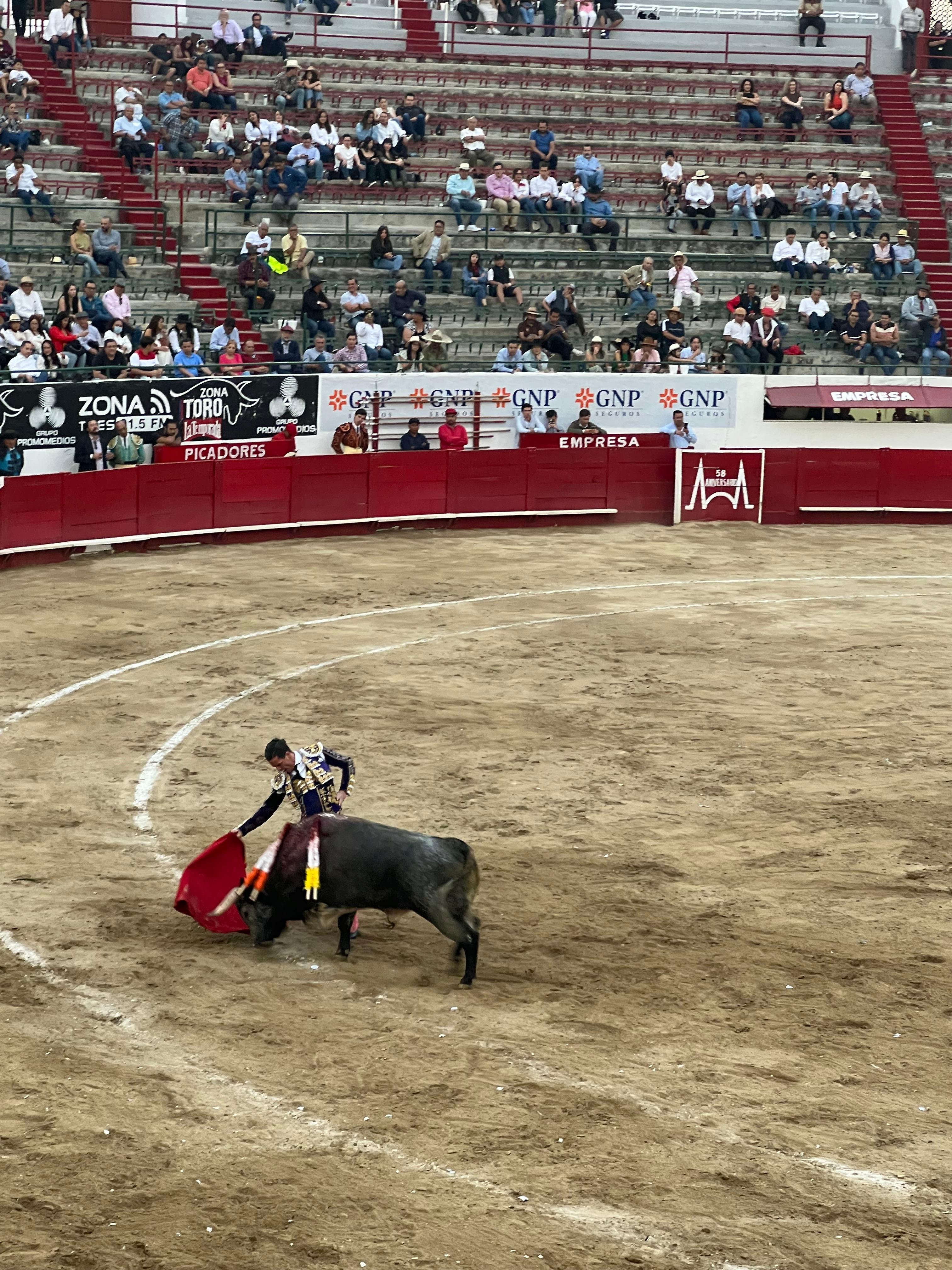 First Bull Fight!!