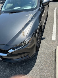 Heavy pigeon poop - picture doesn’t do it justice.