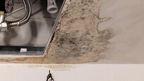 A big hole over the sink and there was black mold on the ceiling.