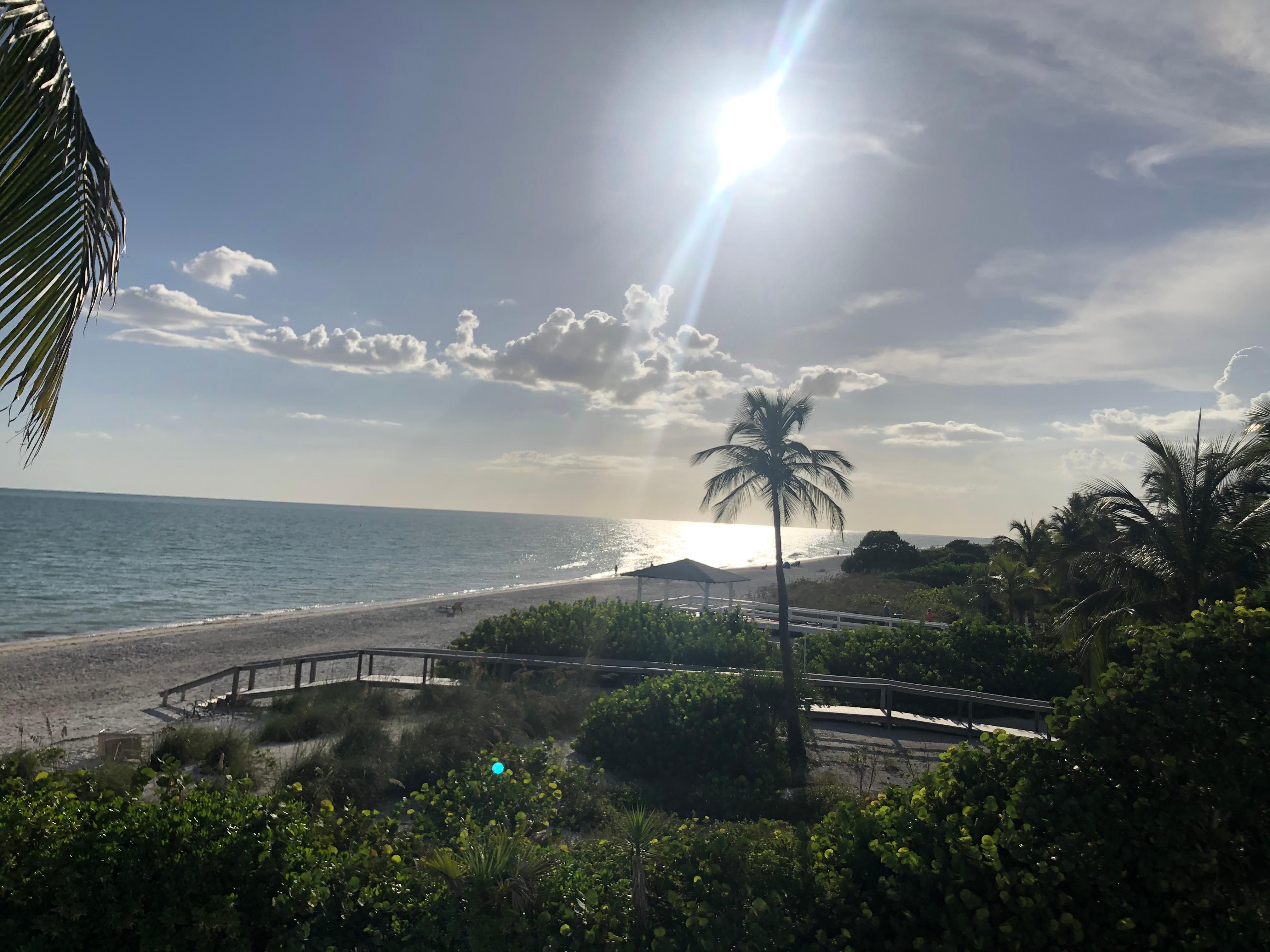 Ocean view from room
