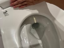 Bidet nozzle