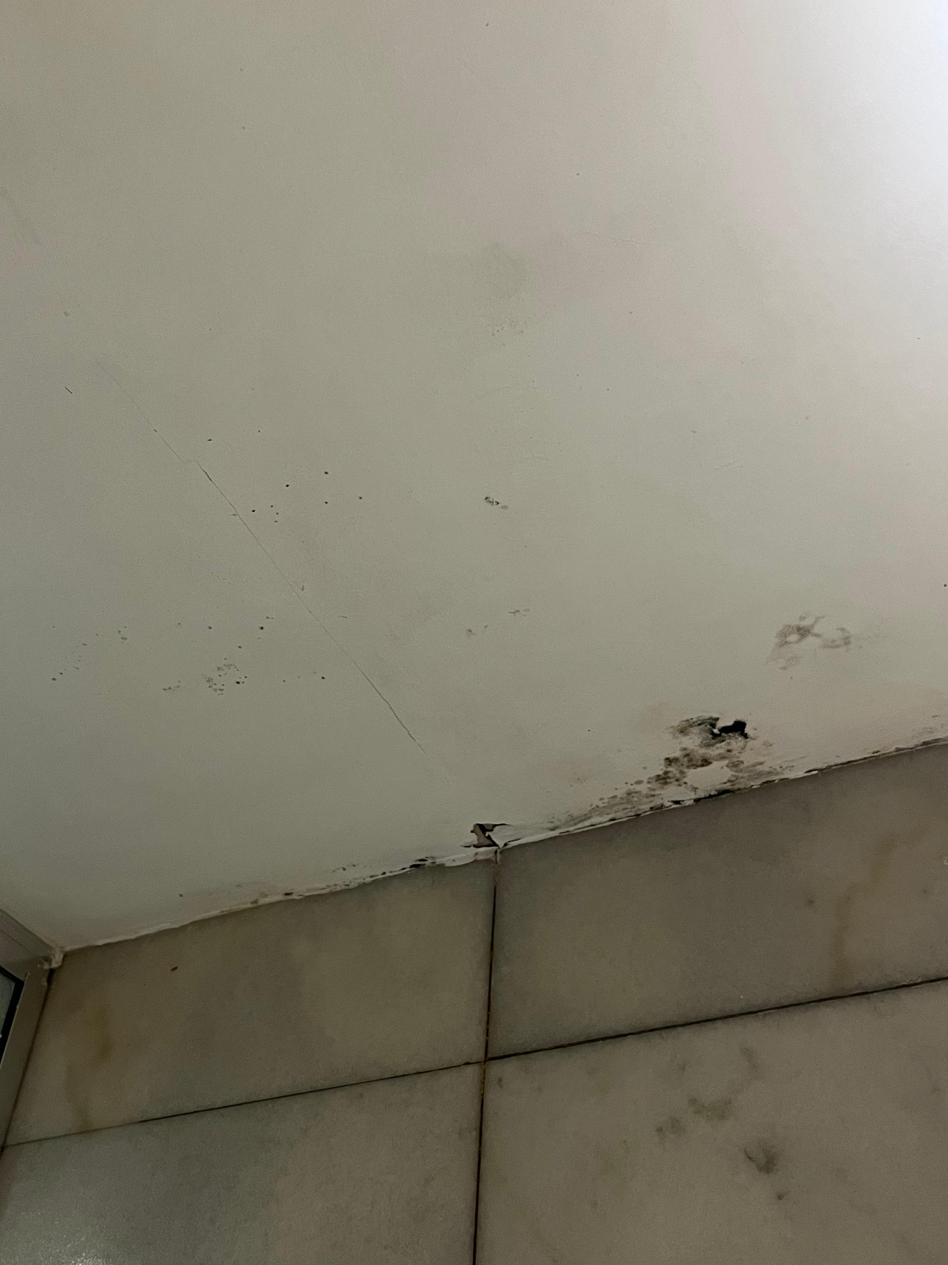 Mold in the bathroom 