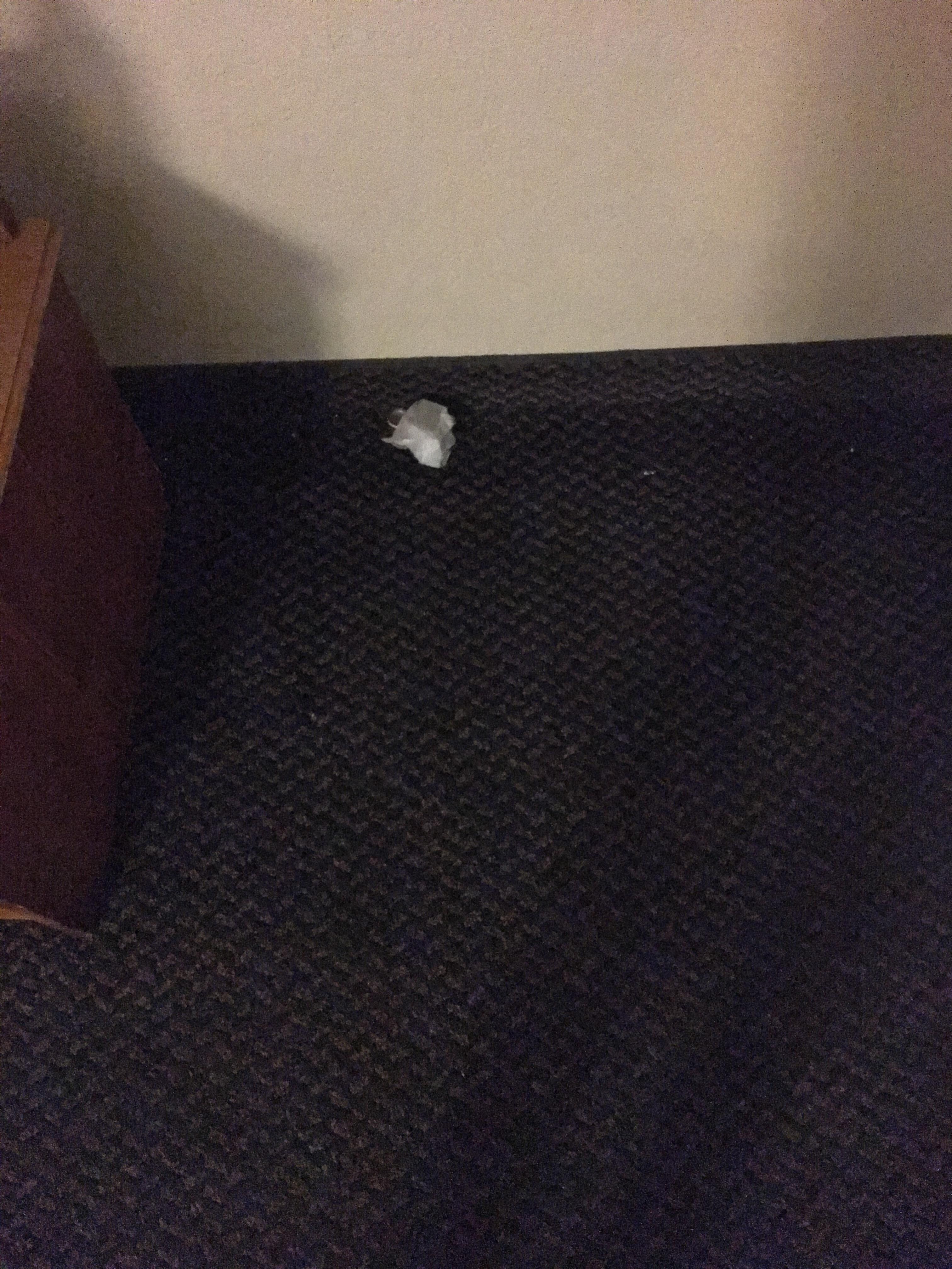 Shoe prints on the floor