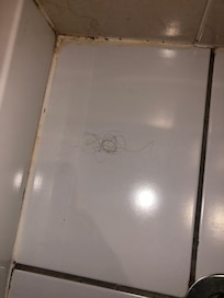 Not my hair
