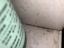 Filthy shower soap area