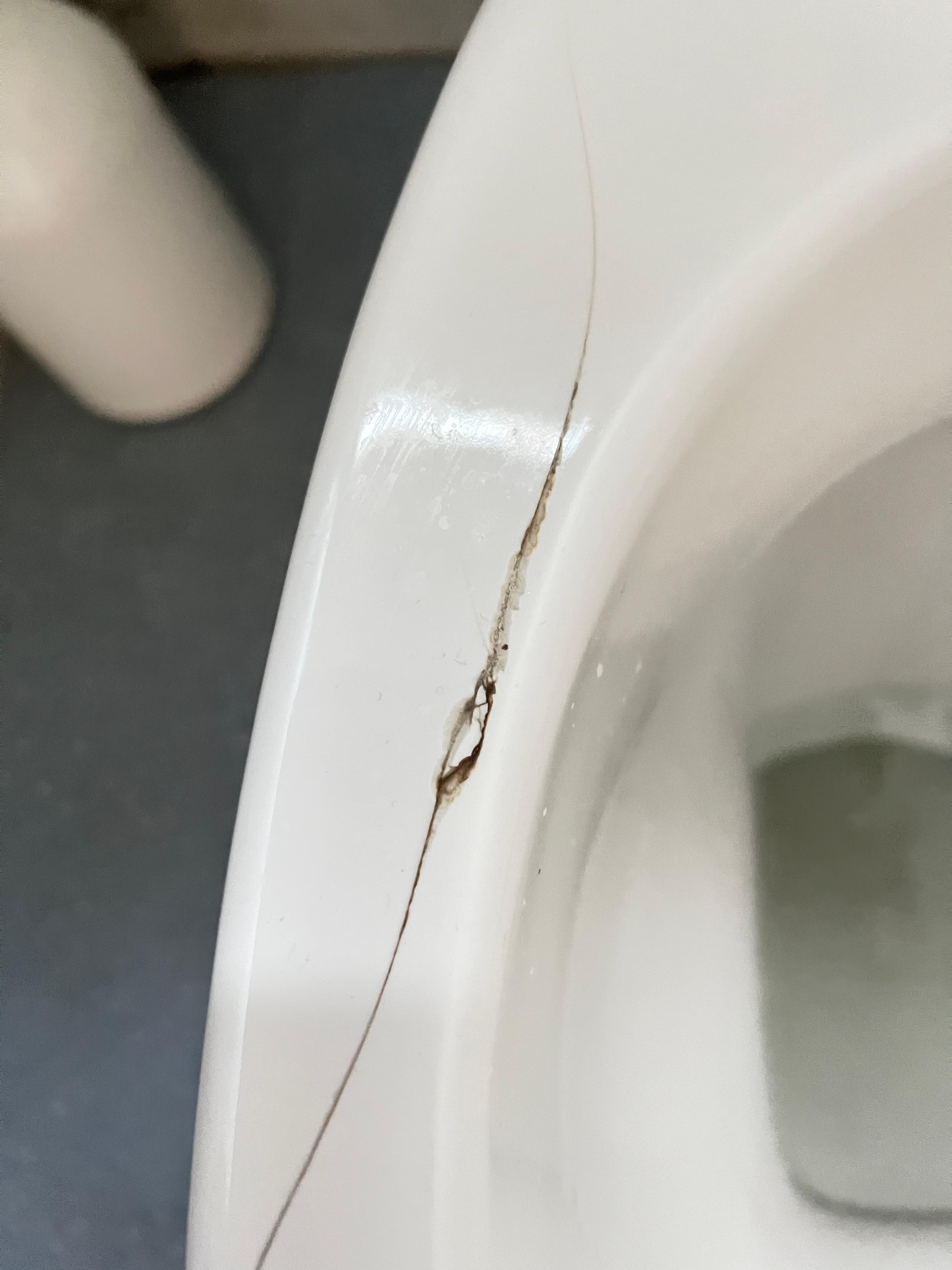 Crack on toilet. Sadly the stained toilet seat didn’t show up on the photo 