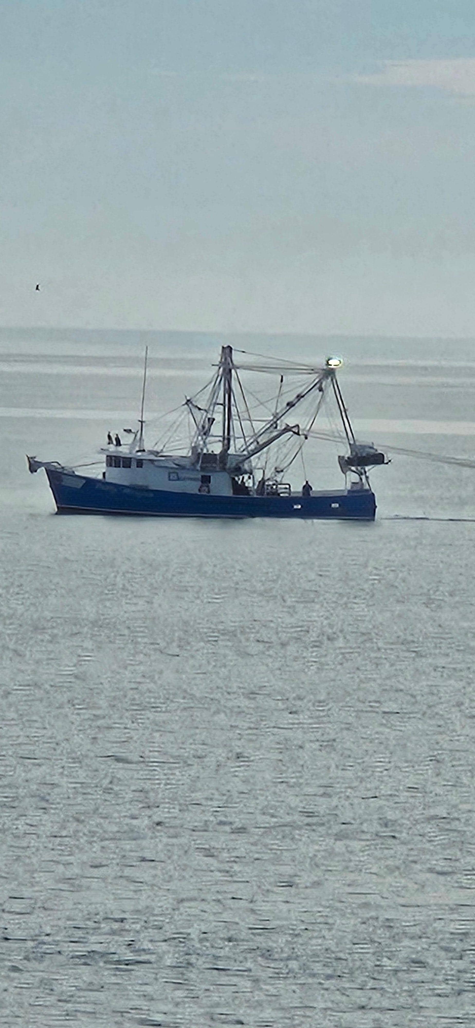 Love watching the fishing boats.