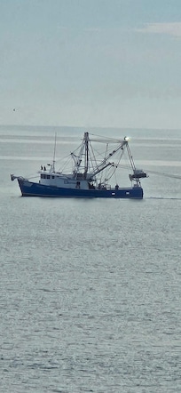 Love watching the fishing boats.