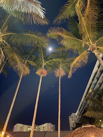 Moon by the pool