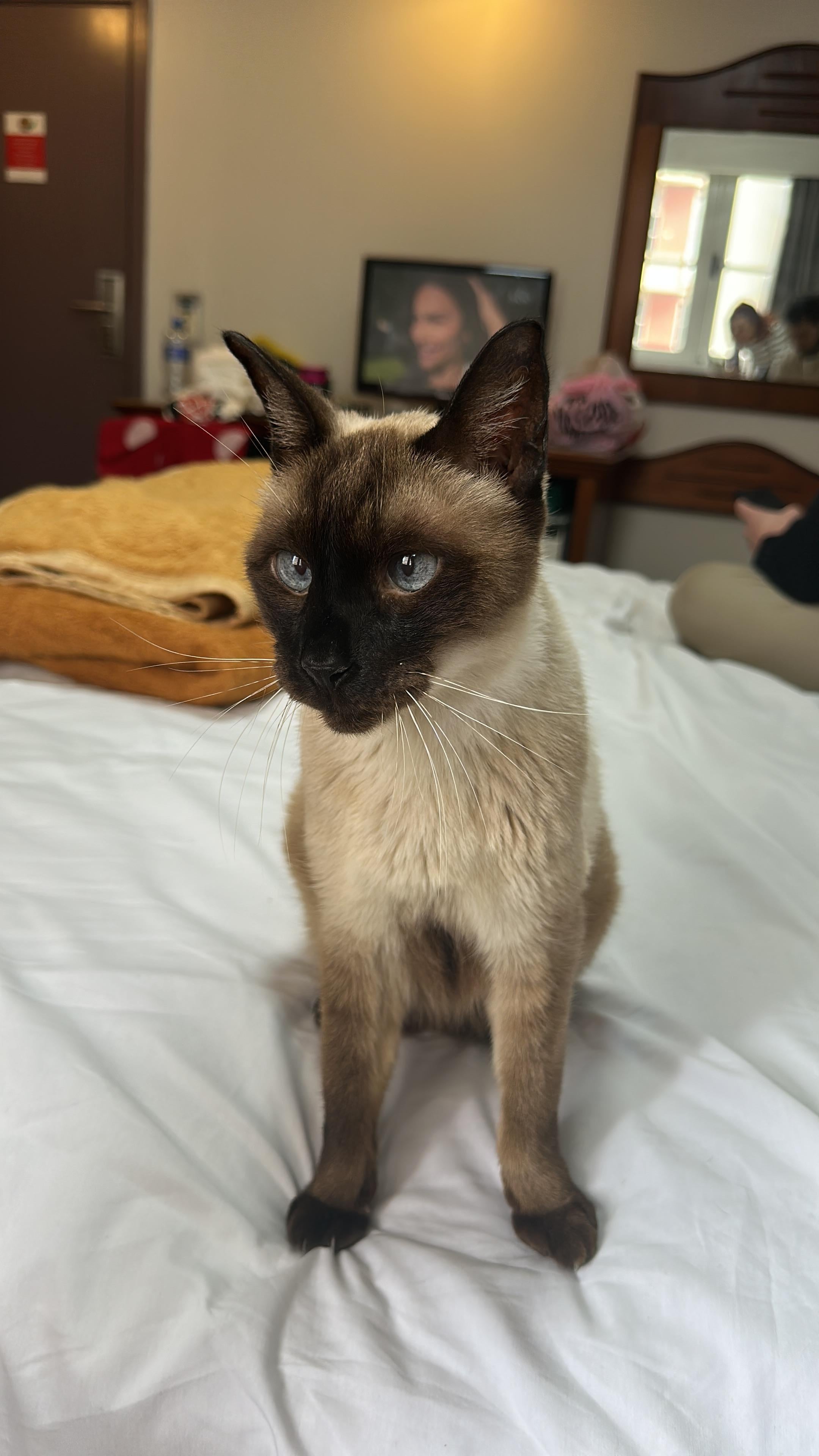 Fred desfrutando das acomodações 